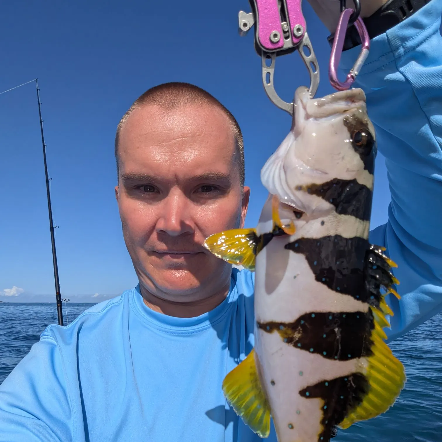 The most recent Blacksaddled coralgrouper catches on Fishbrain
