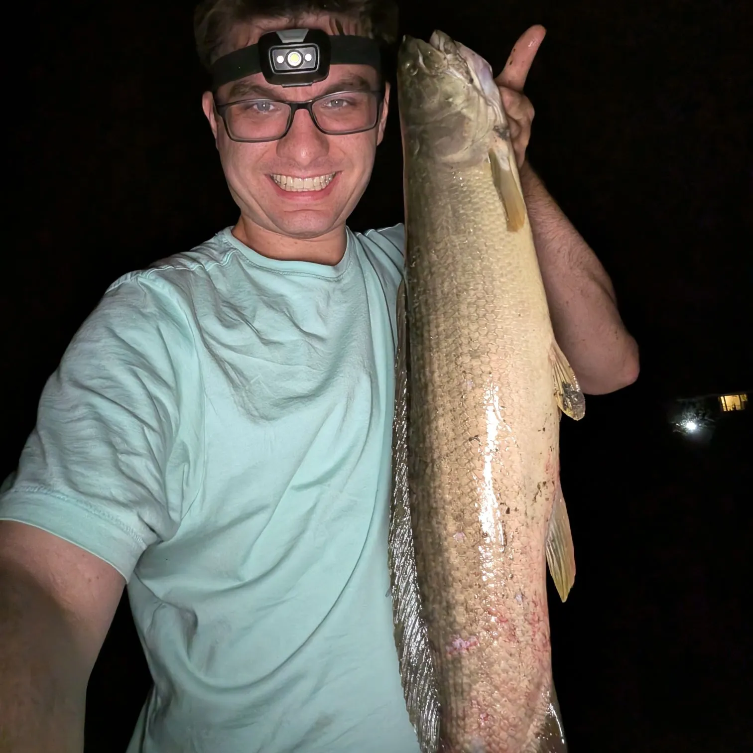 Eyetail bowfin caught on Fishbrain