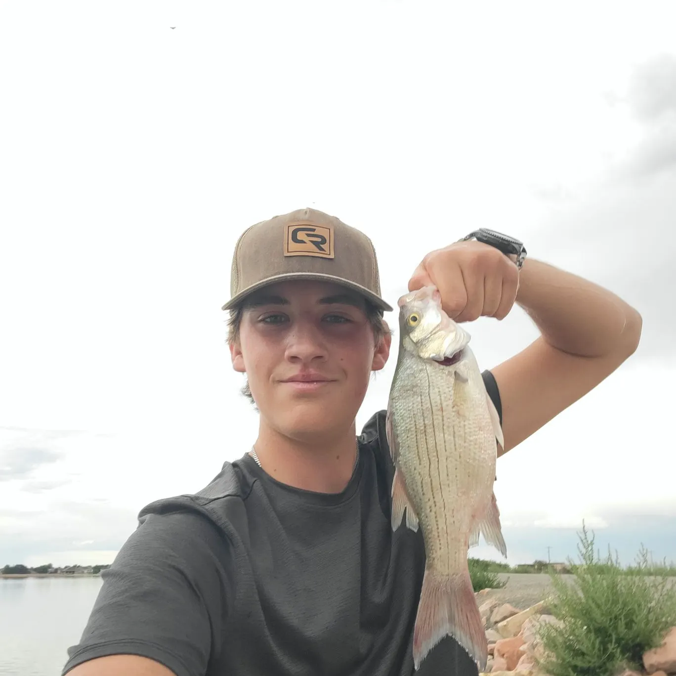 White bass caught on Fishbrain