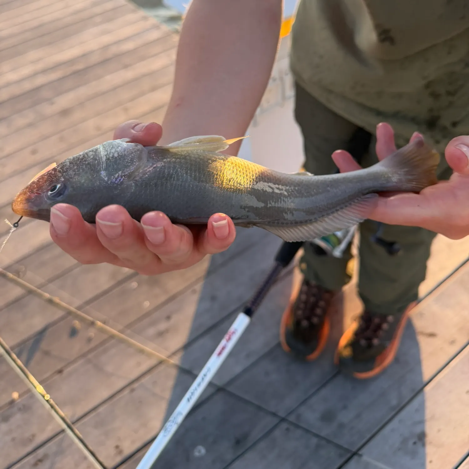 catch