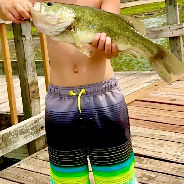 Fish caught on Fishbrain