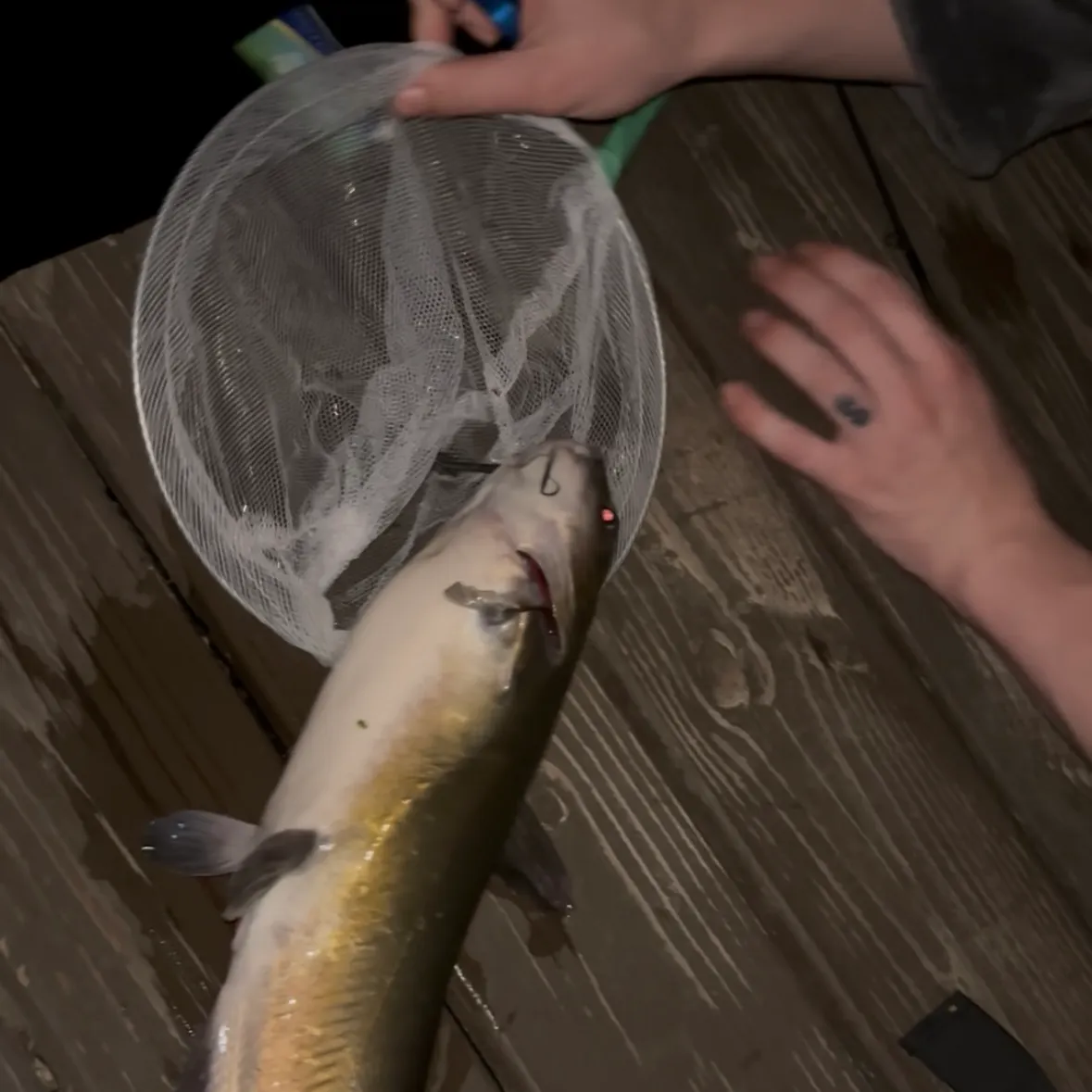 catch