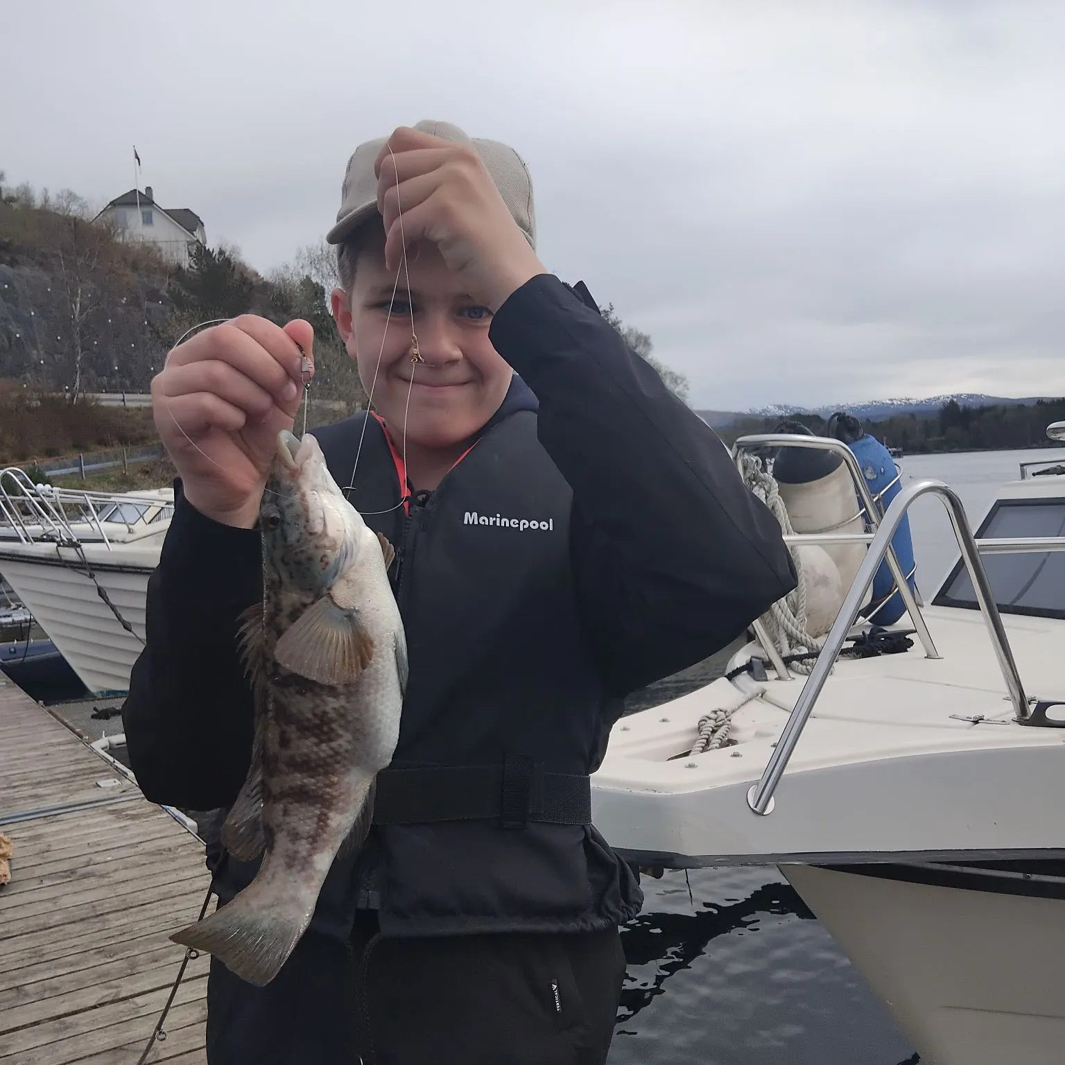 The most recent Ballan wrasse catches on Fishbrain