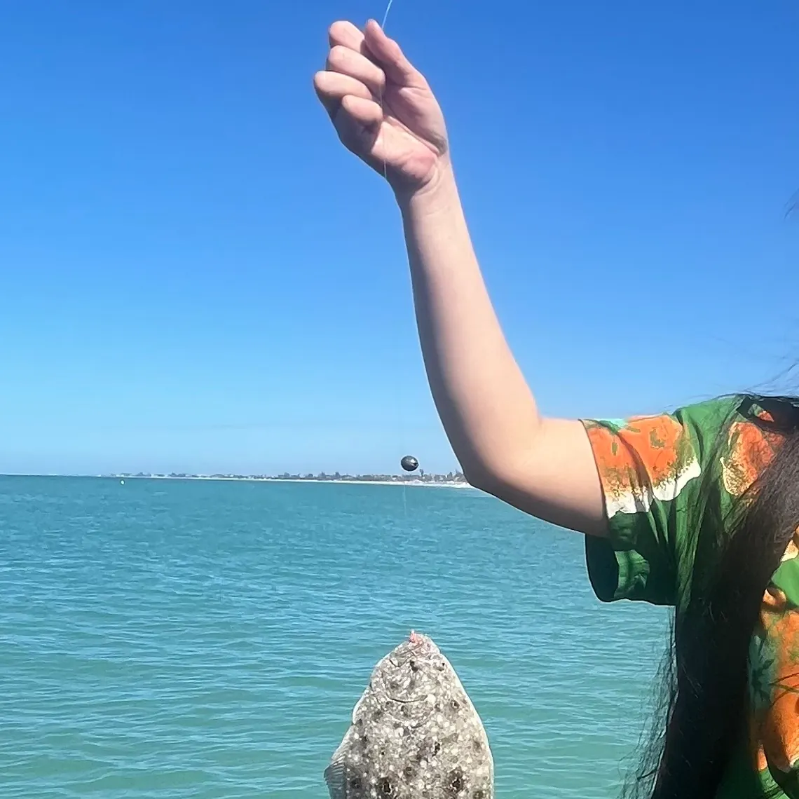 The most recent Summer flounder catches on Fishbrain