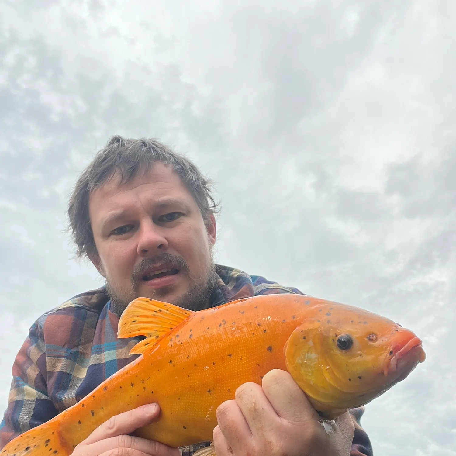 most liked catch image