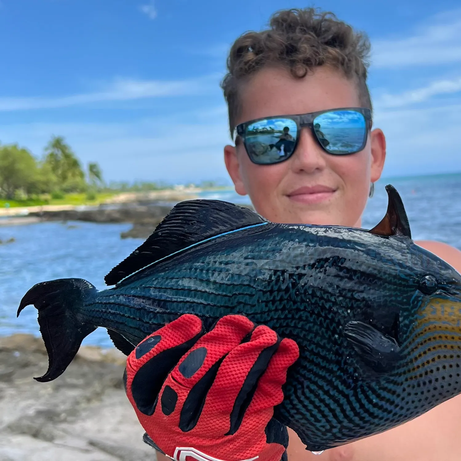 The most recent Indian triggerfish catches on Fishbrain