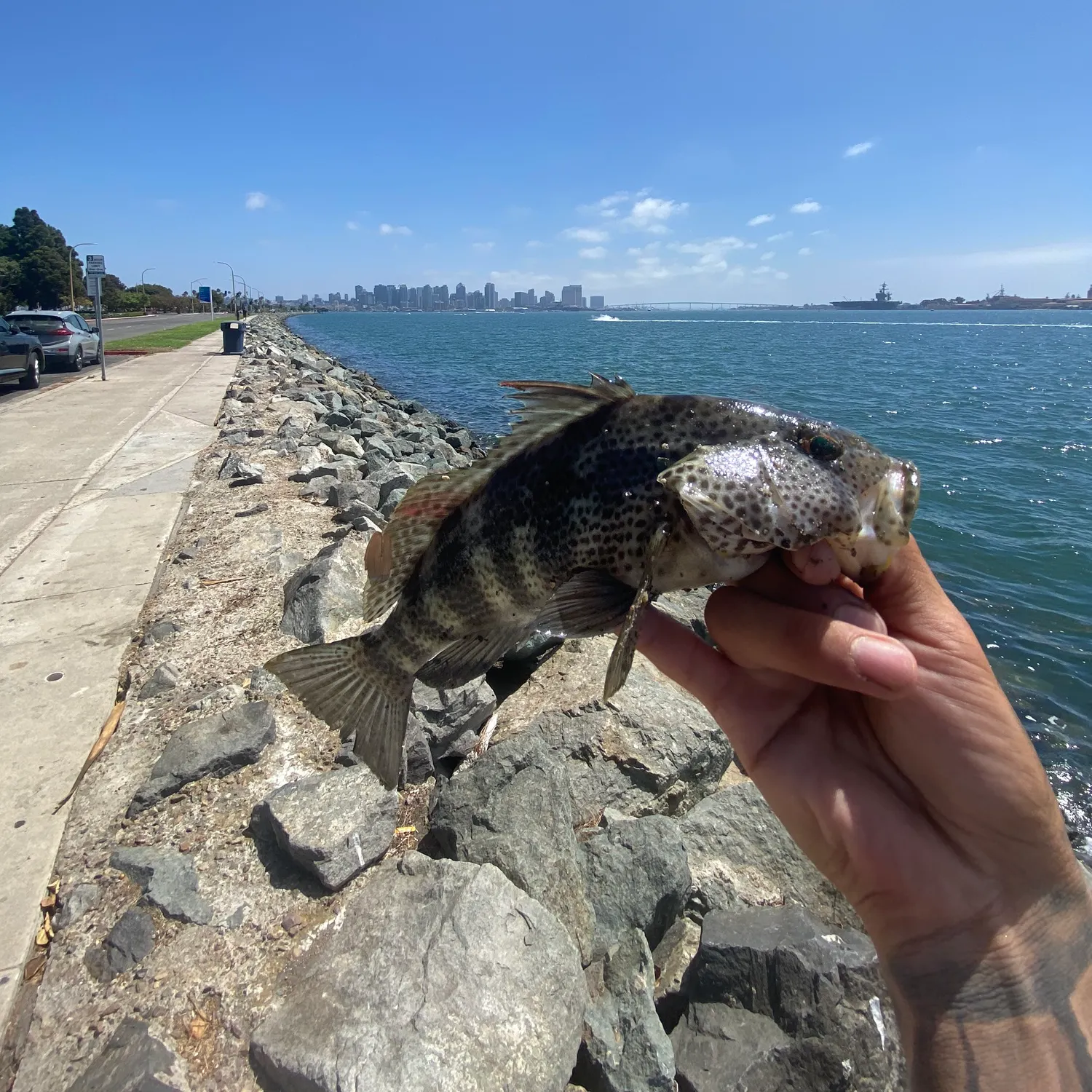 catch