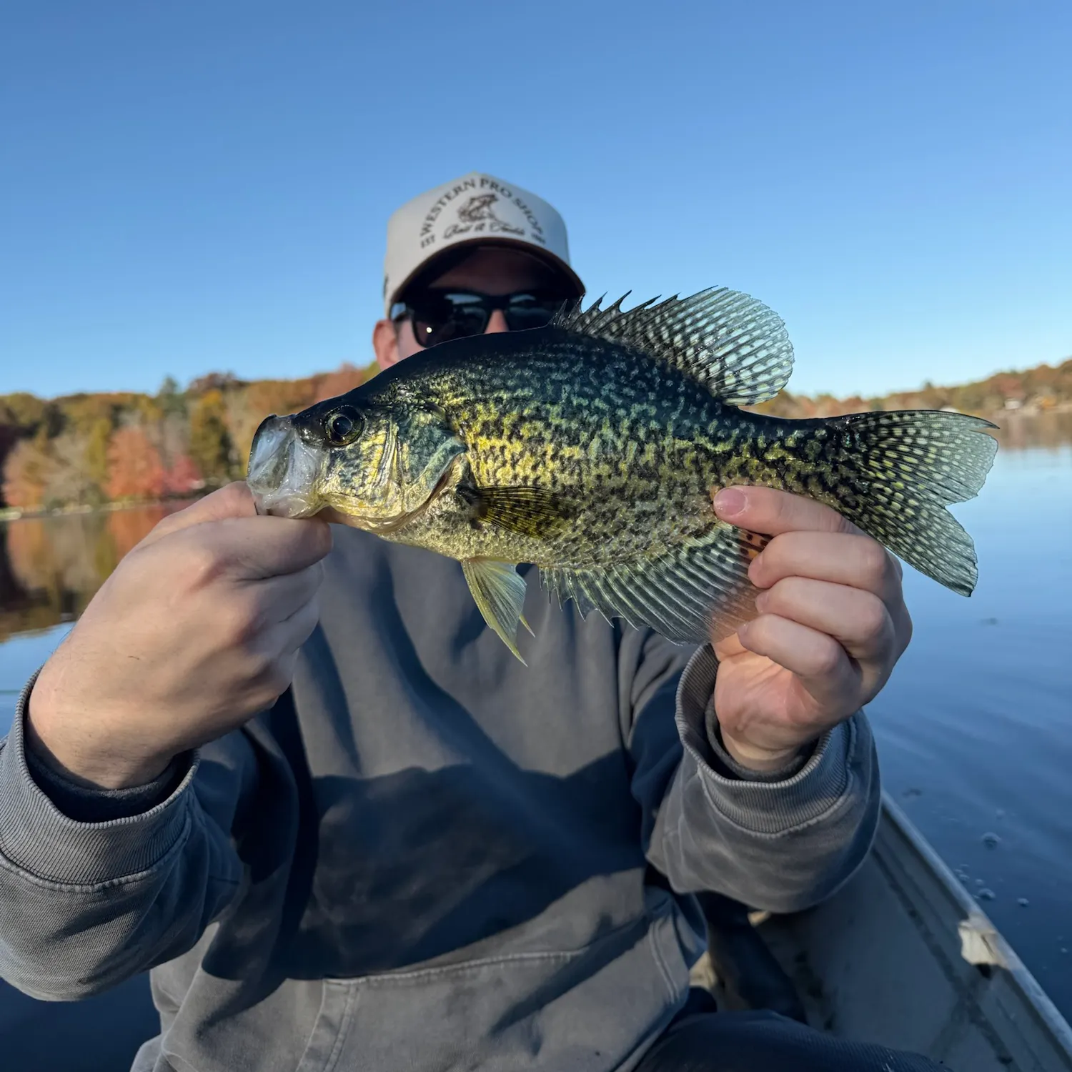 Black crappie caught on Fishbrain