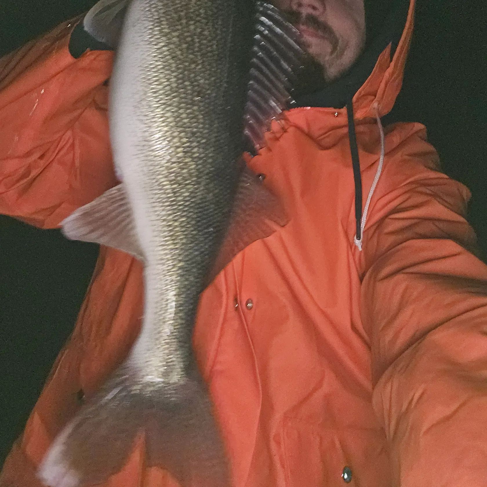 angler catch