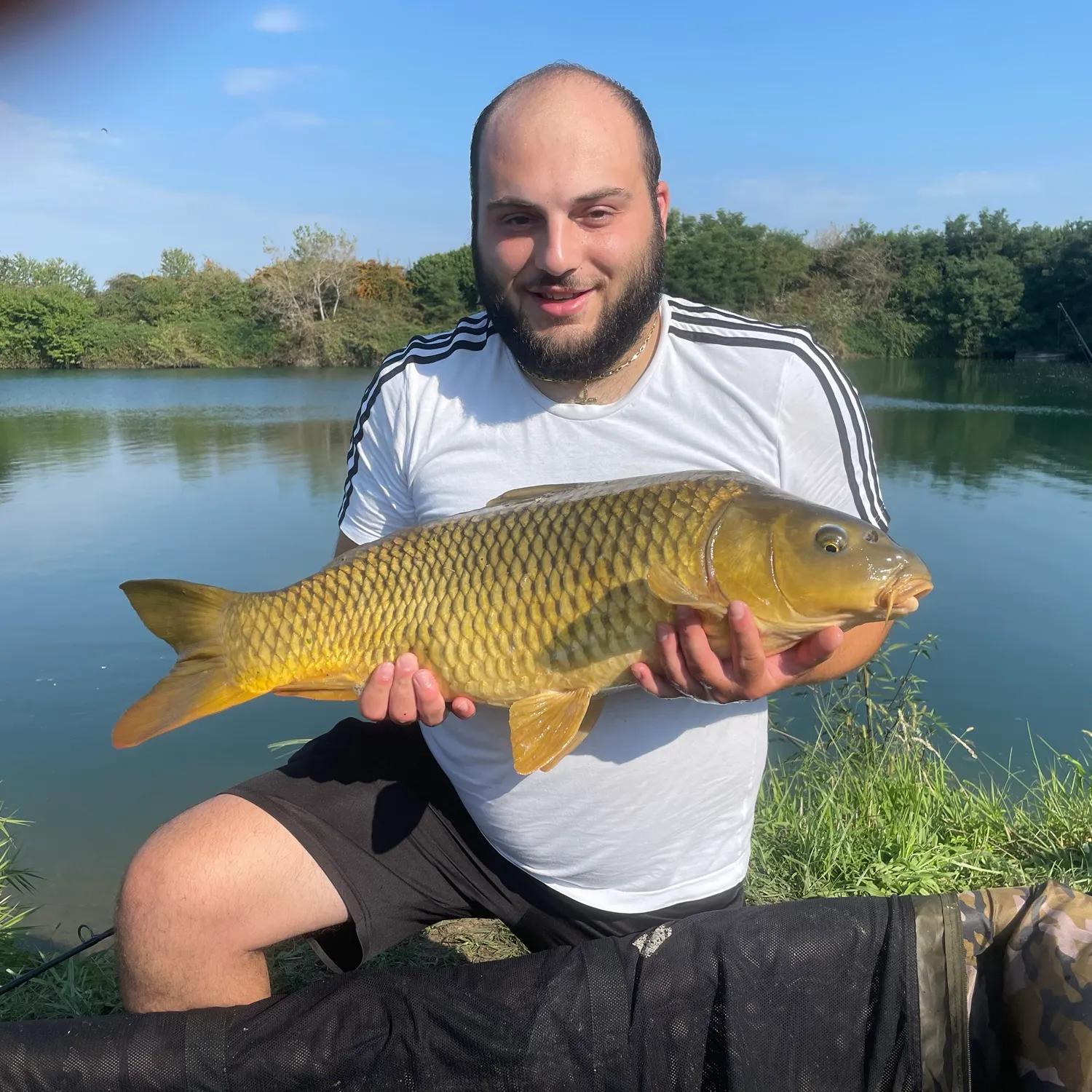 Common carp caught on Fishbrain