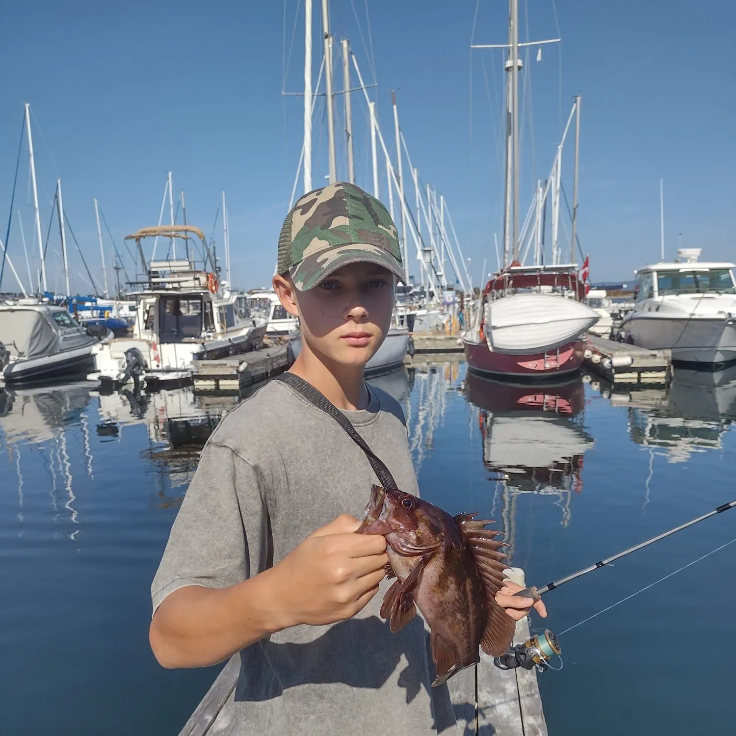 Copper rockfish caught on Fishbrain