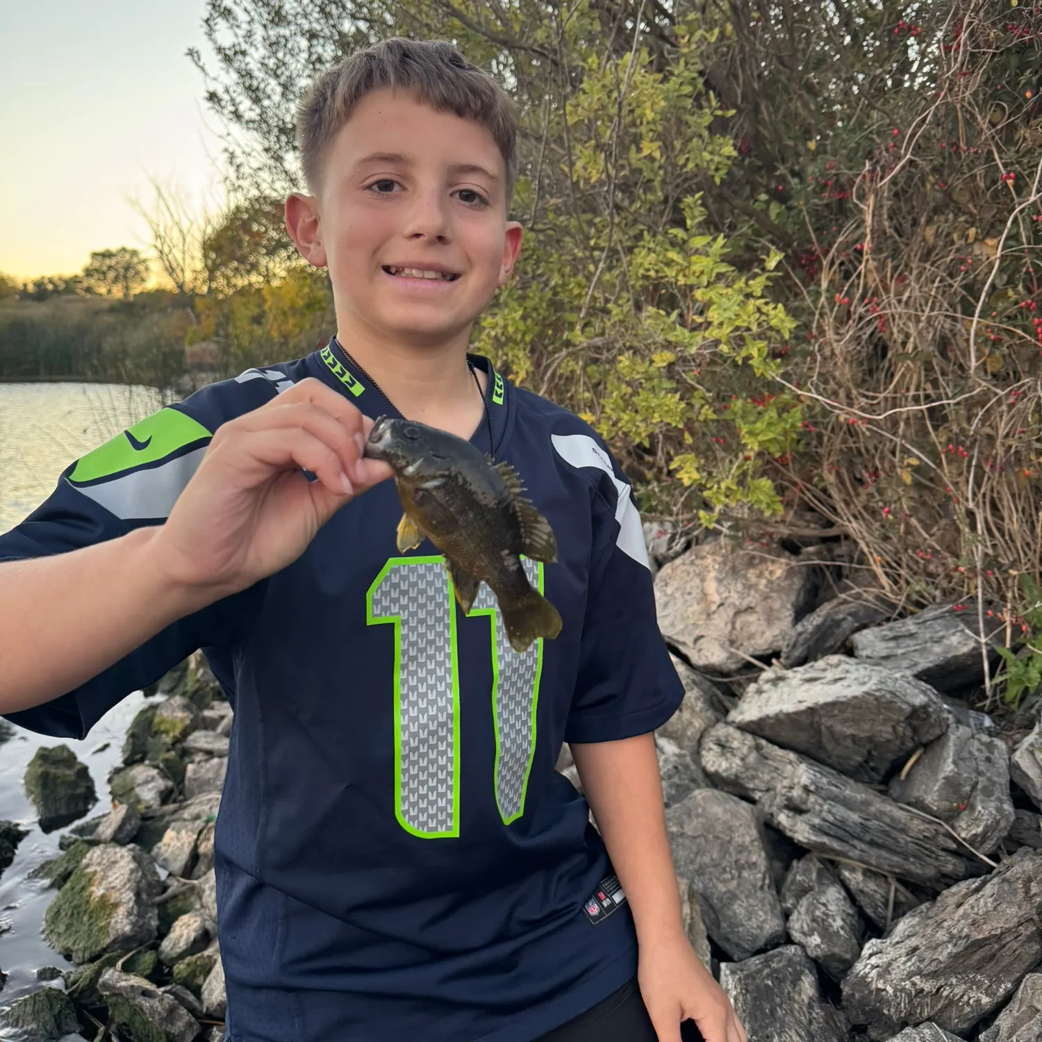 Green sunfish caught on Fishbrain