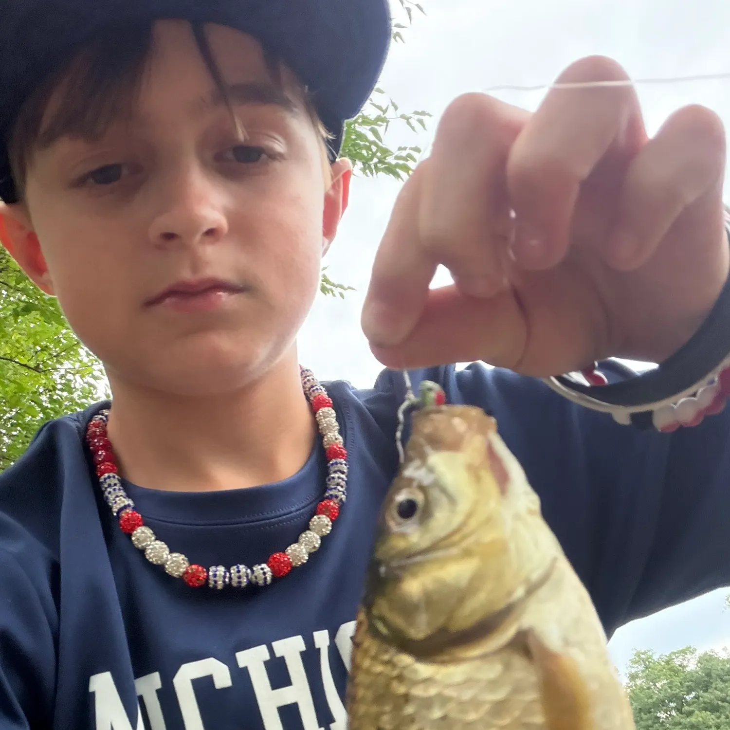 Common carp caught on Fishbrain