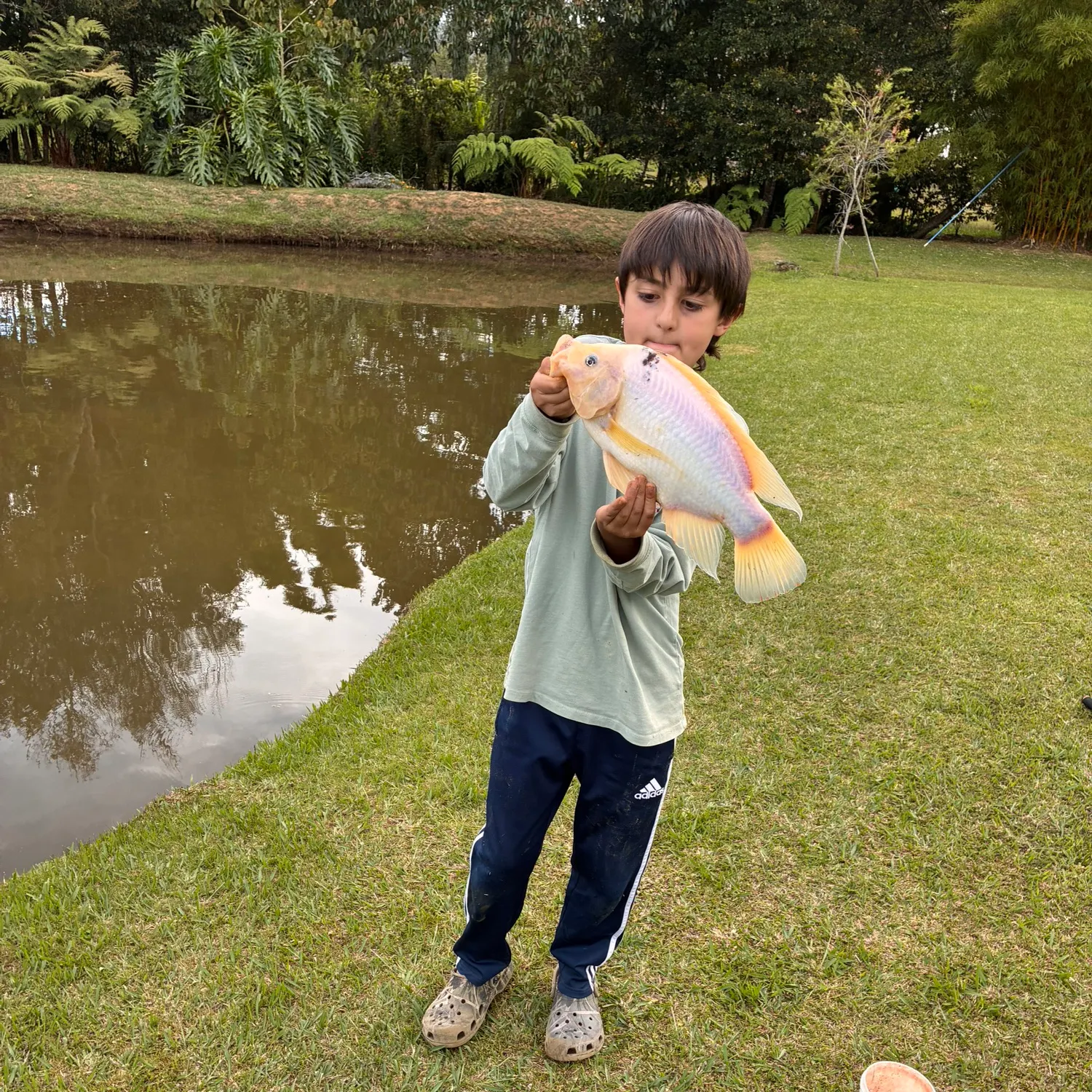 The most recent Red tilapia catches on Fishbrain