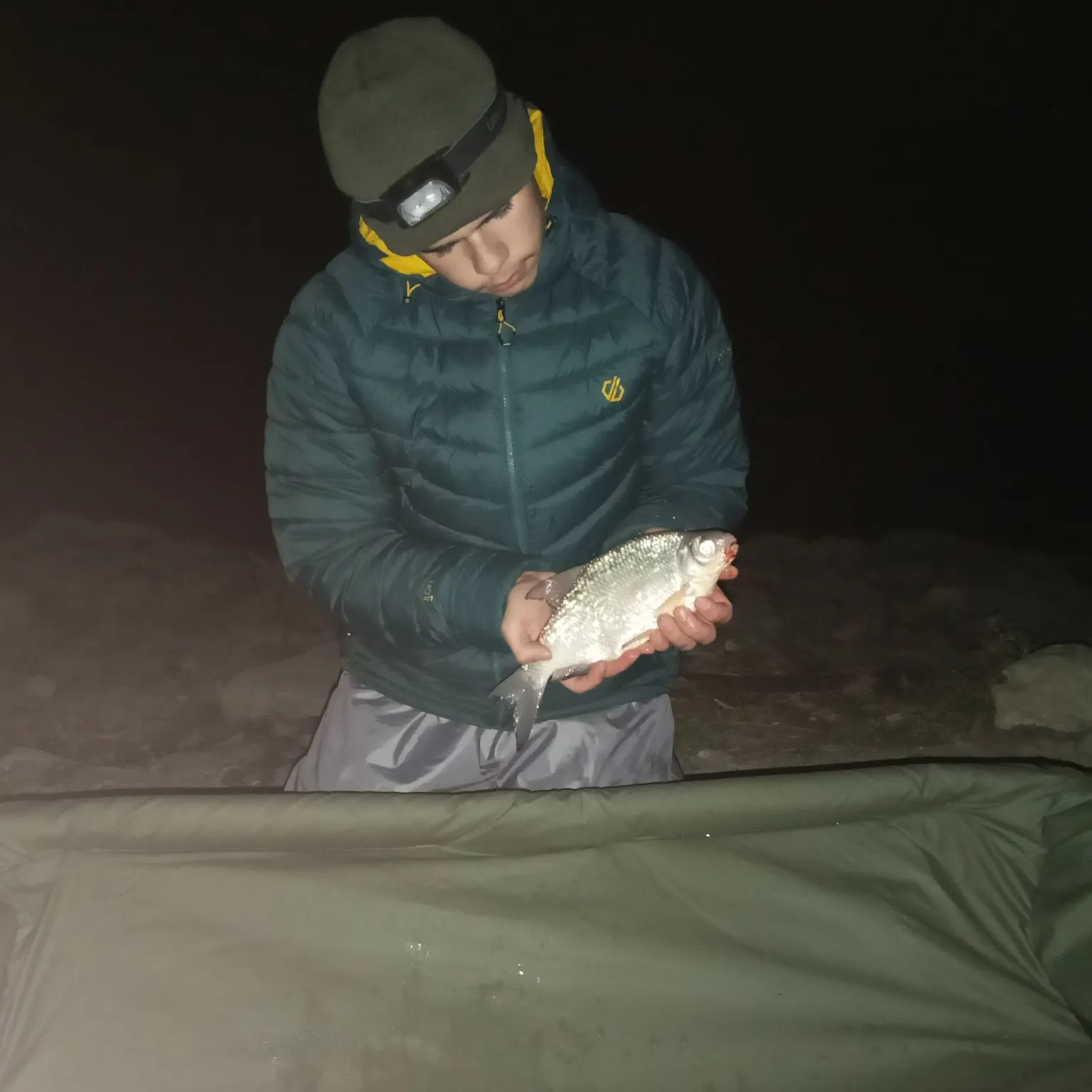 The most recent White bream catches on Fishbrain