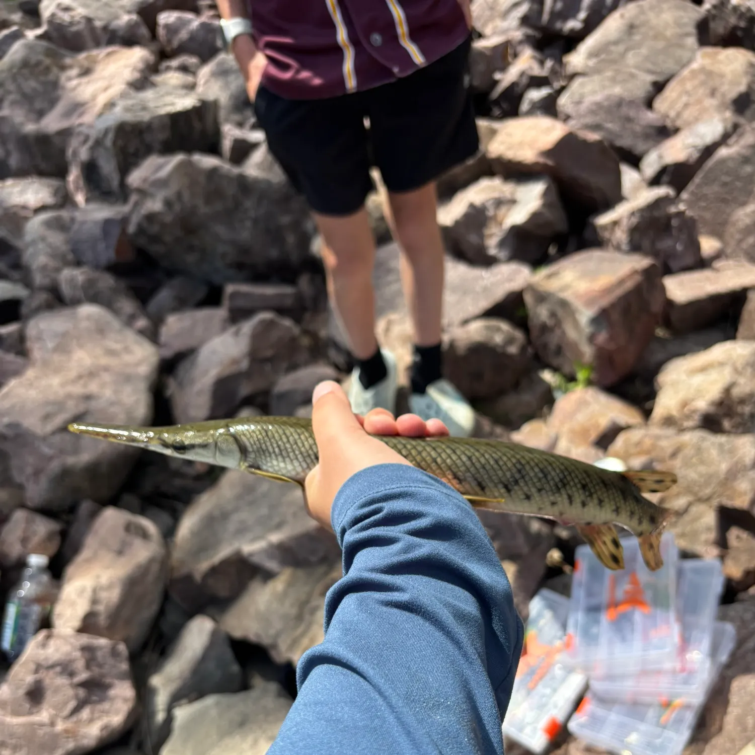 catch