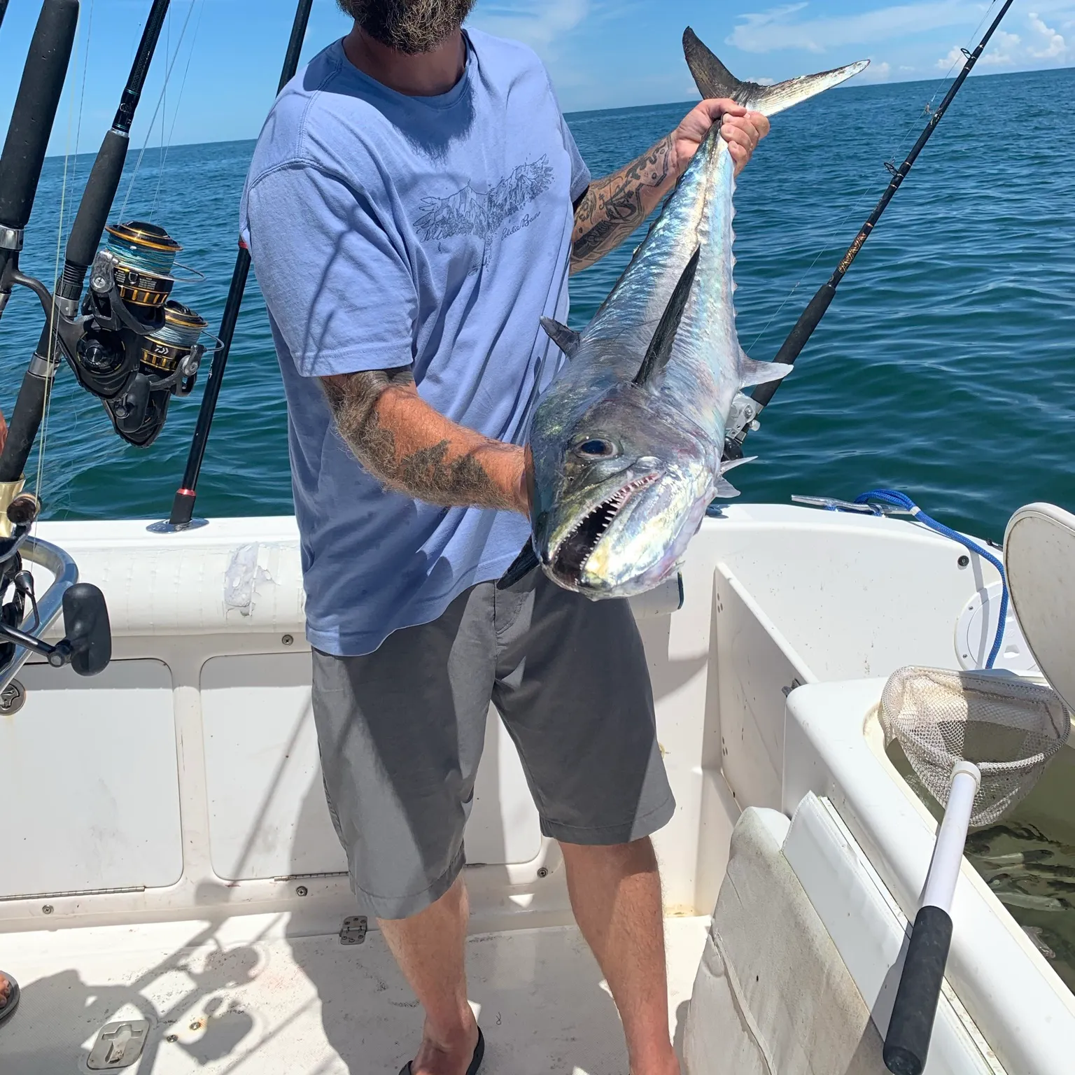 The most recent Bluegill catches on Fishbrain