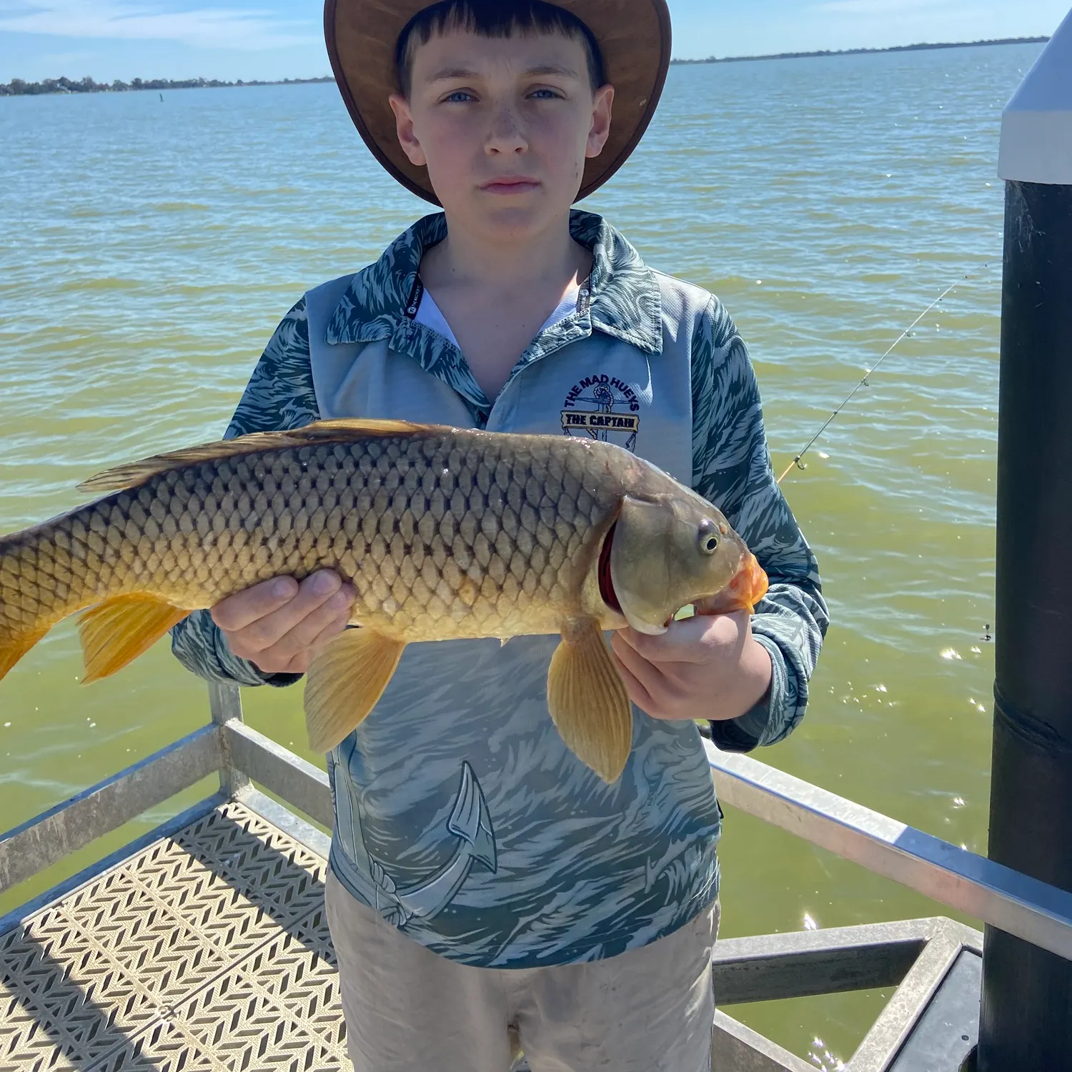 Common carp caught on Fishbrain