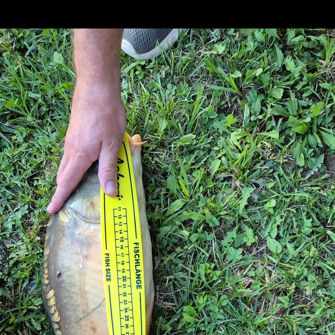 Fish caught on Fishbrain