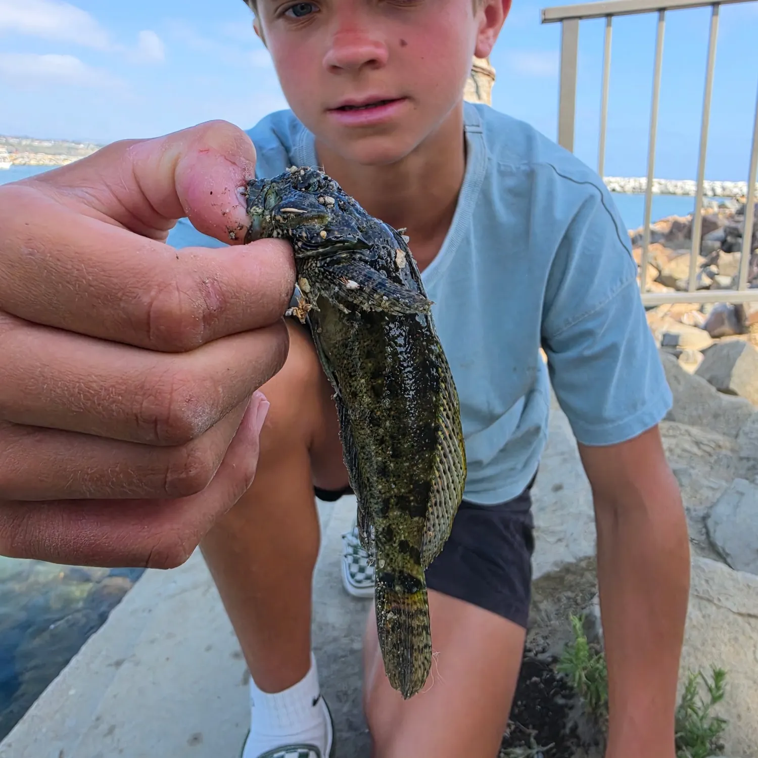 The most recent Woolly sculpin catches on Fishbrain