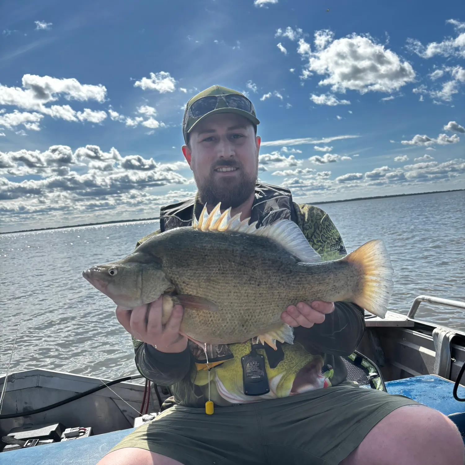 Golden perch caught on Fishbrain