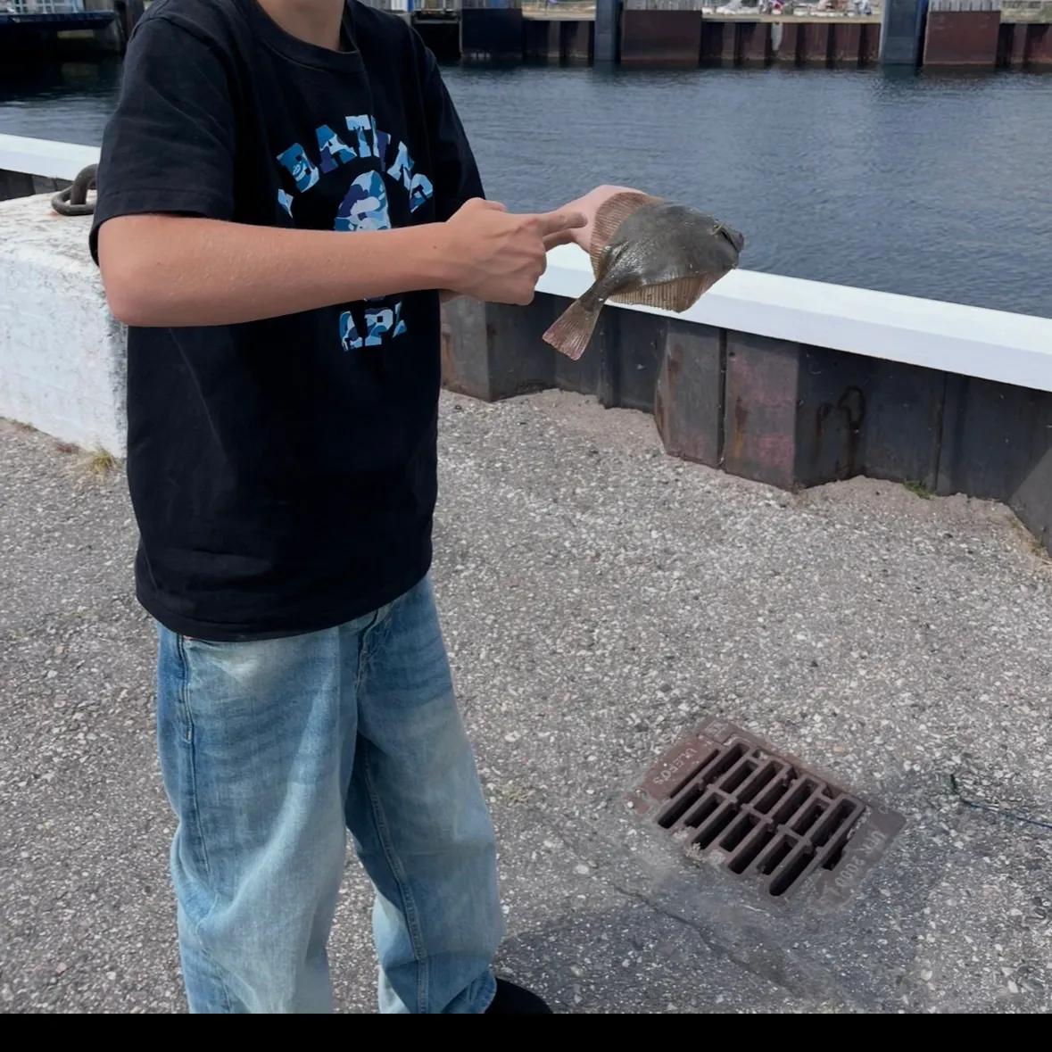 European plaice caught on Fishbrain