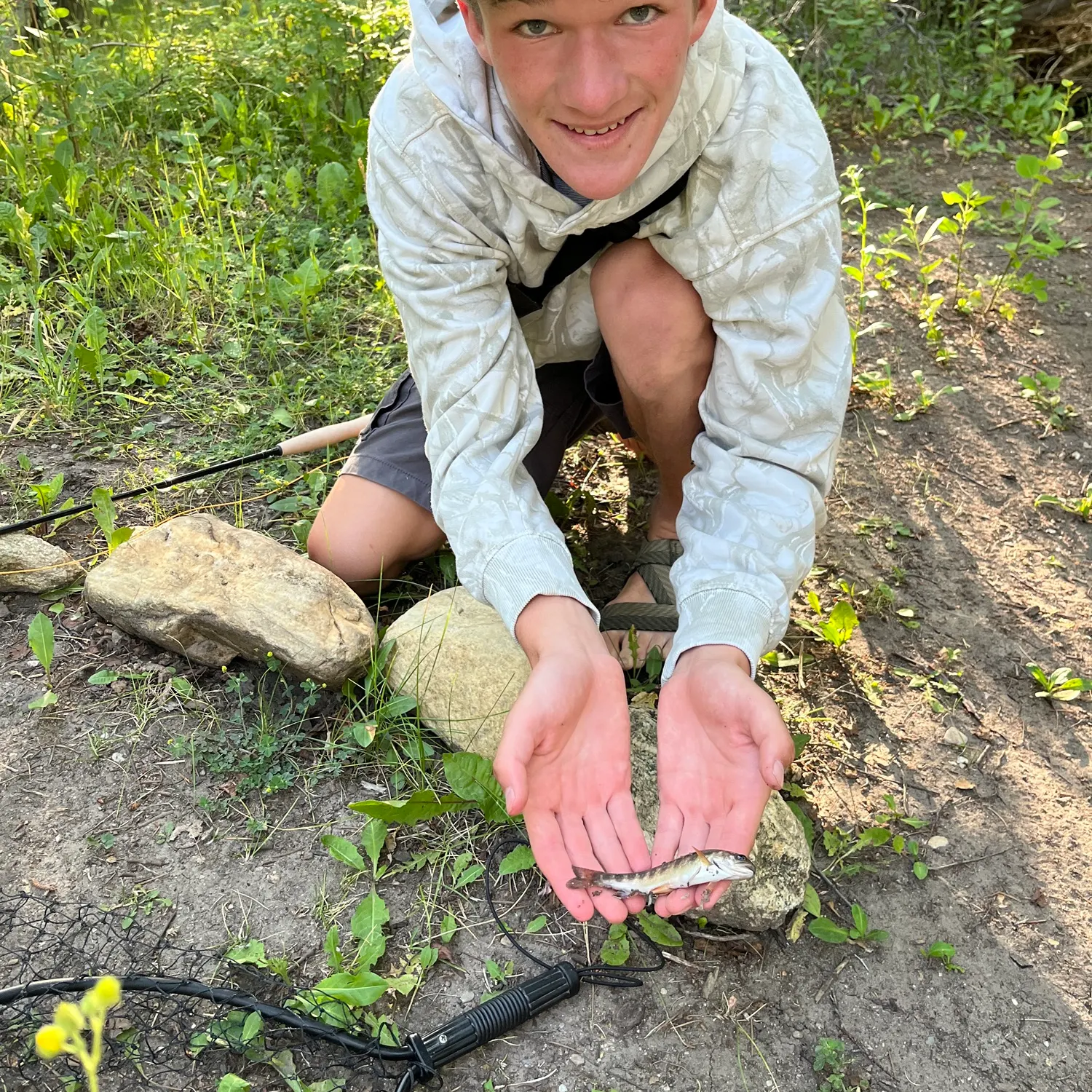 The most recent Yellowstone cutthroat trout catches on Fishbrain