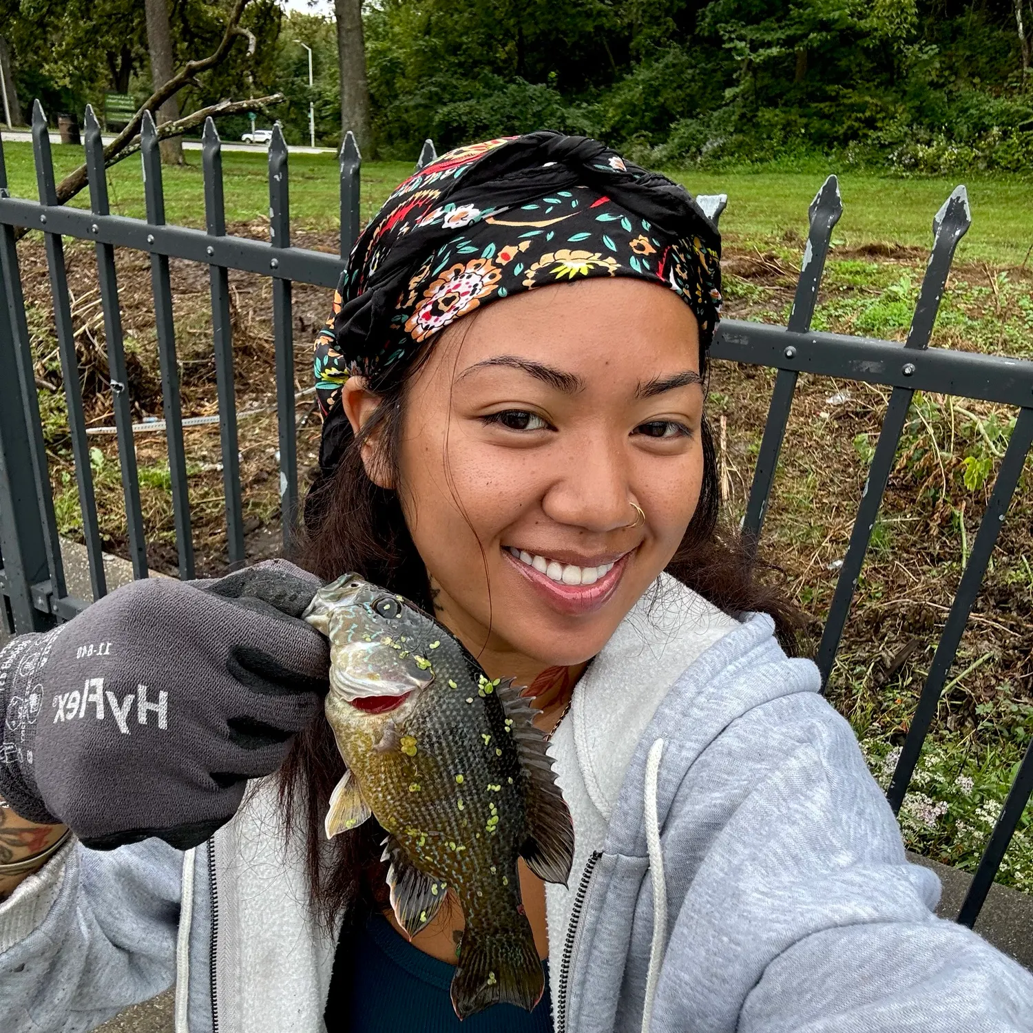 Green sunfish caught on Fishbrain