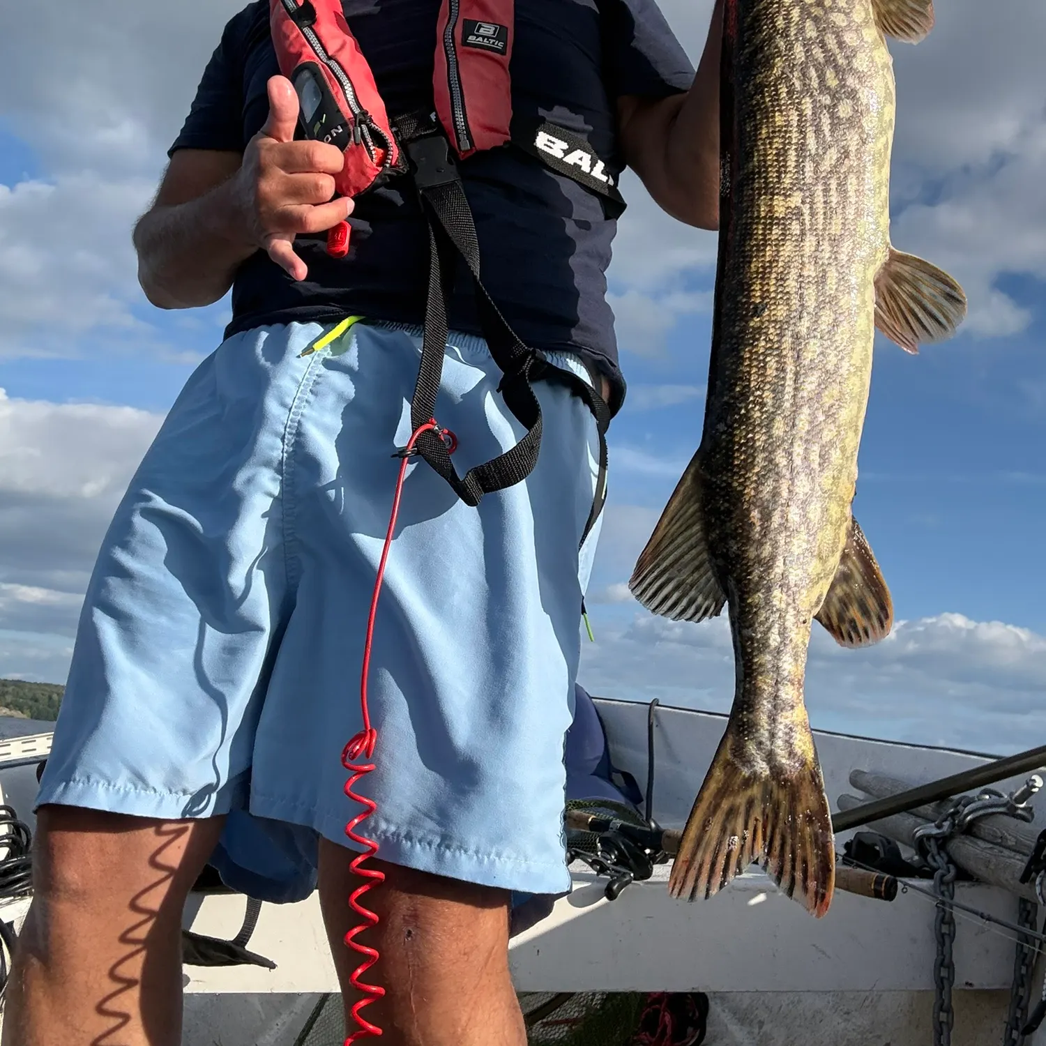 Northern pike caught on Fishbrain
