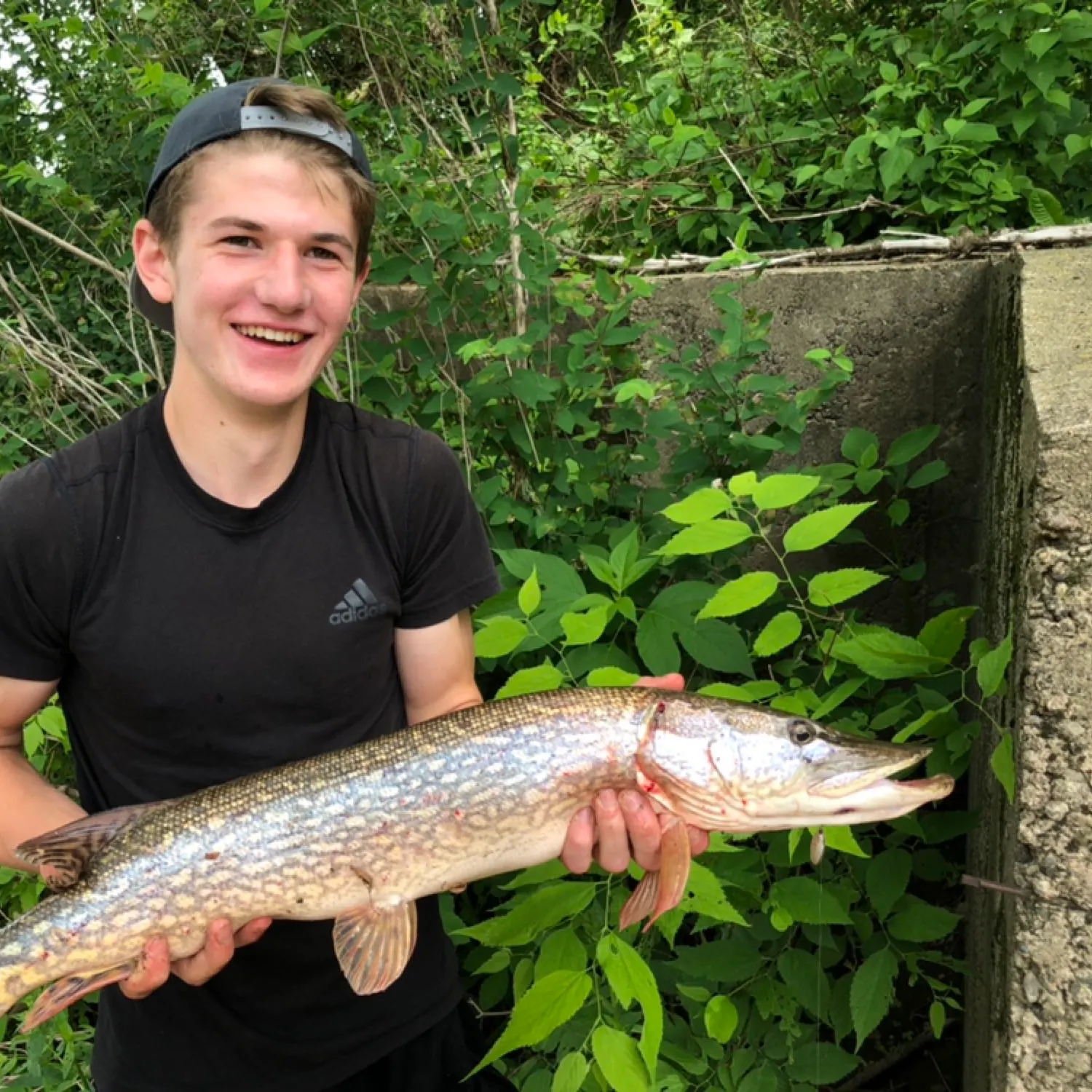 angler catch