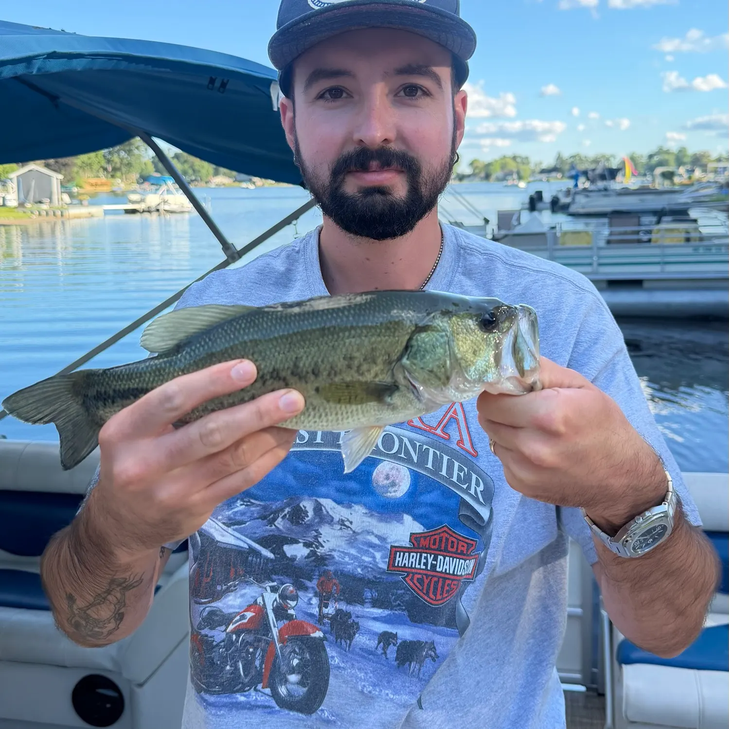 Largemouth bass caught on Fishbrain