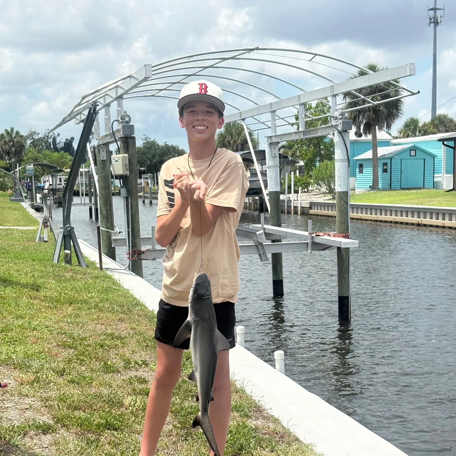 Blacktip shark caught on Fishbrain