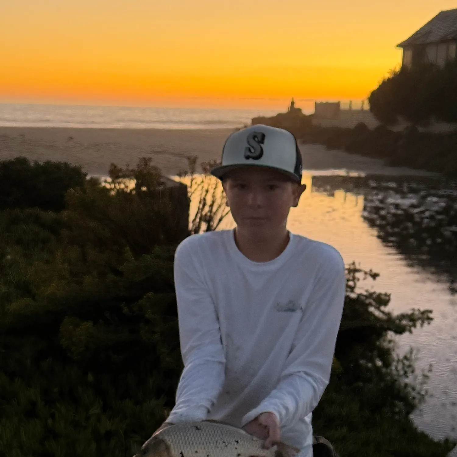 Common carp caught on Fishbrain