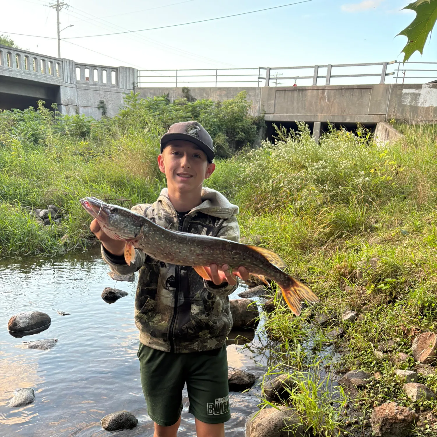 Northern pike caught on Fishbrain