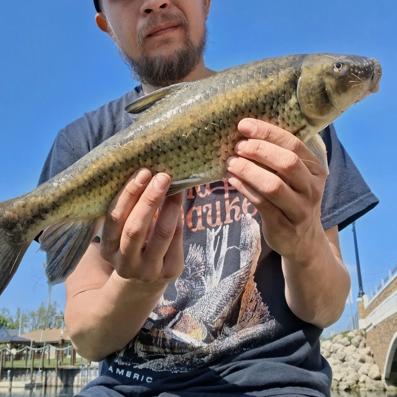 The most recent Longnose sucker catches on Fishbrain