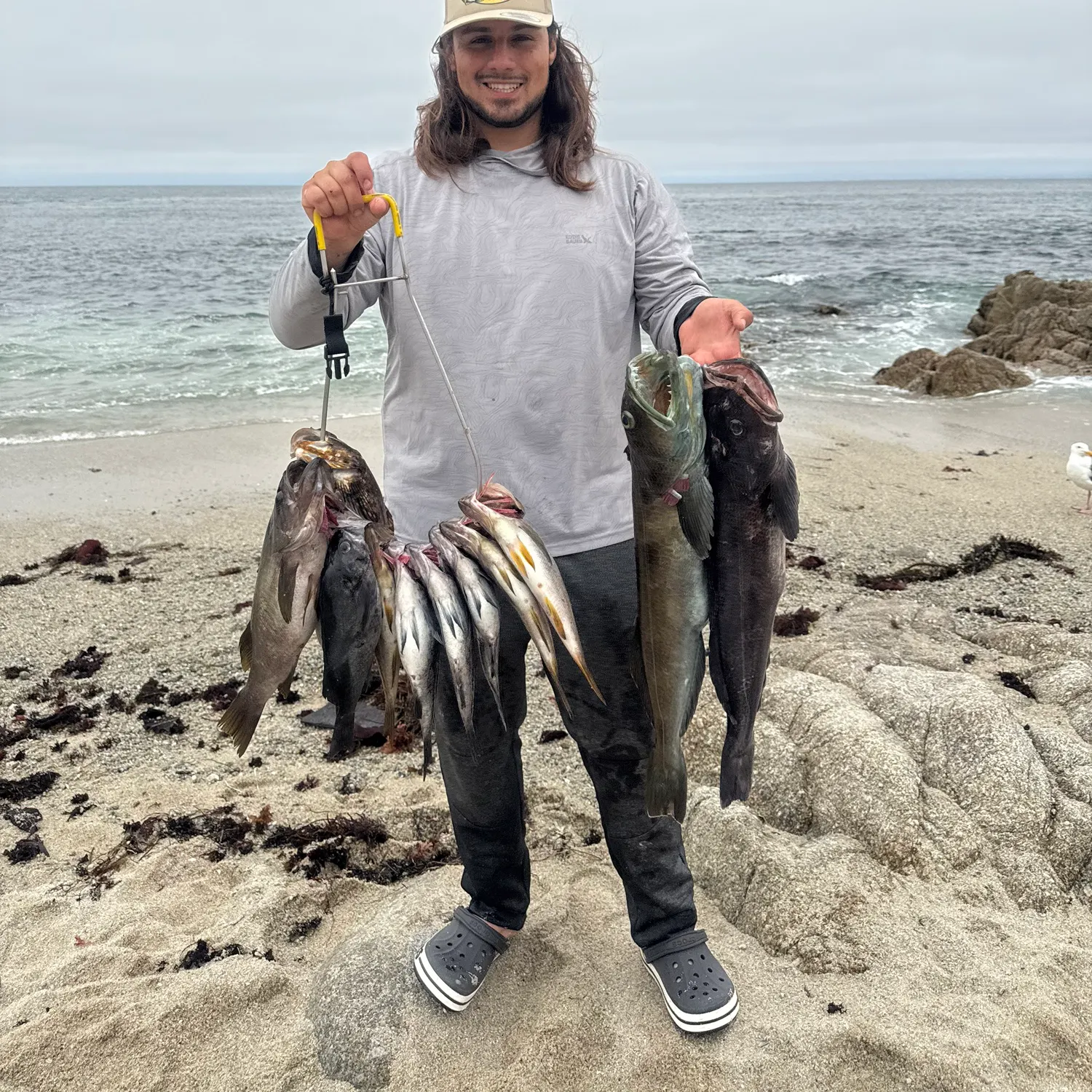 The most recent Olive rockfish catches on Fishbrain