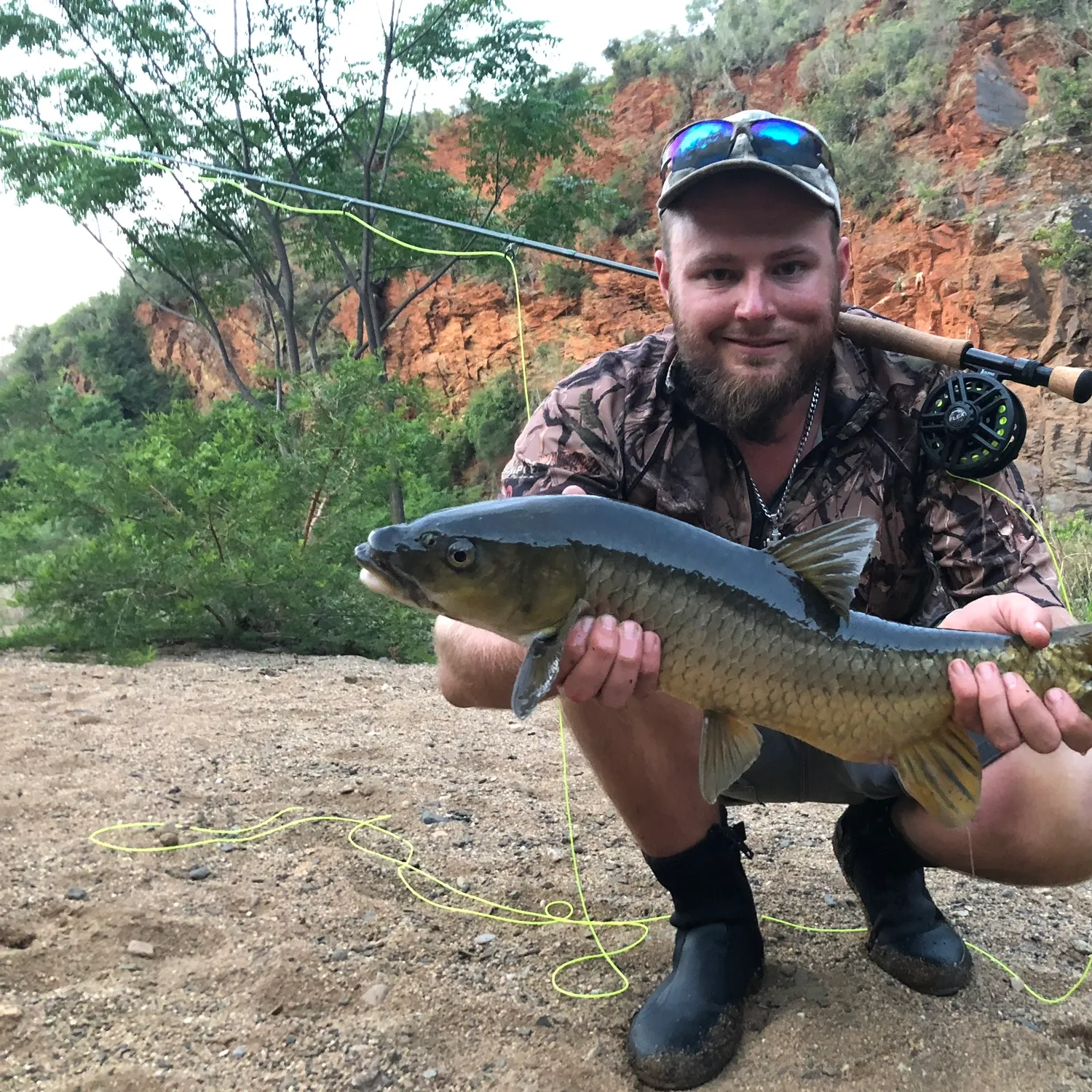 The most recent Smallmouth yellowfish catches on Fishbrain