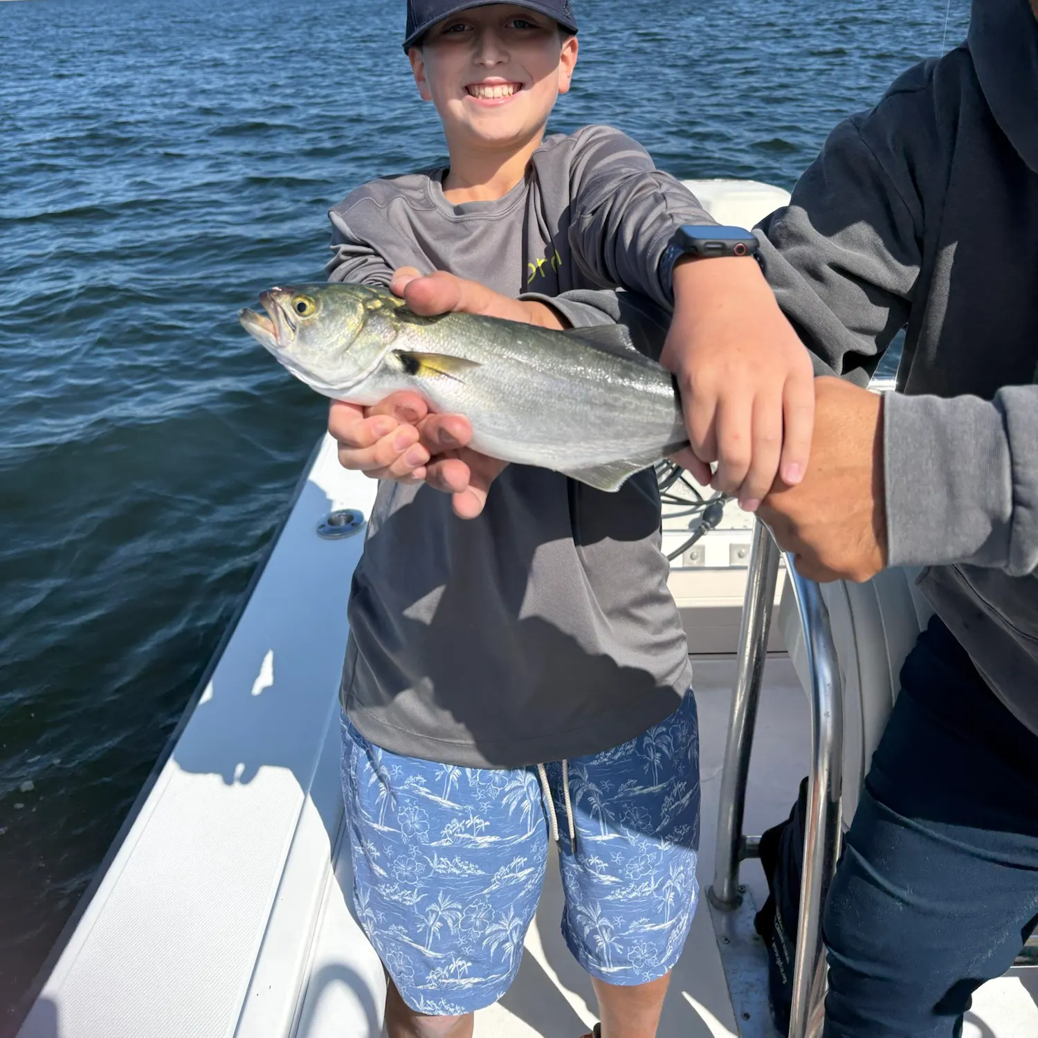 Bluefish caught on Fishbrain