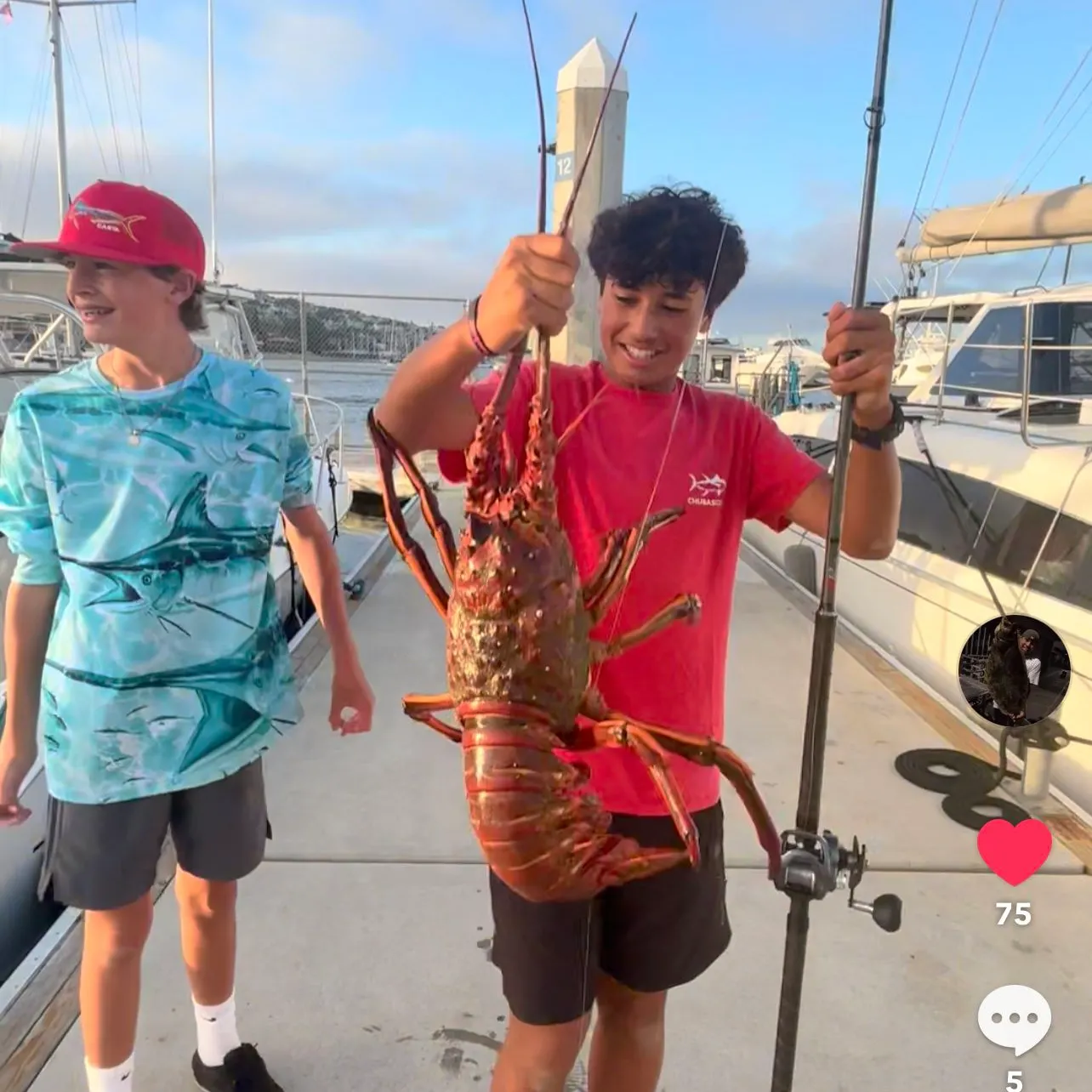 The most recent California spiny lobster catches on Fishbrain