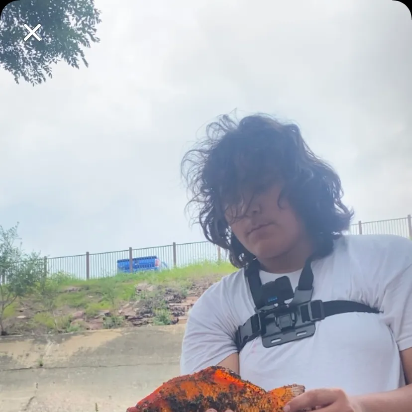Goldfish caught on Fishbrain
