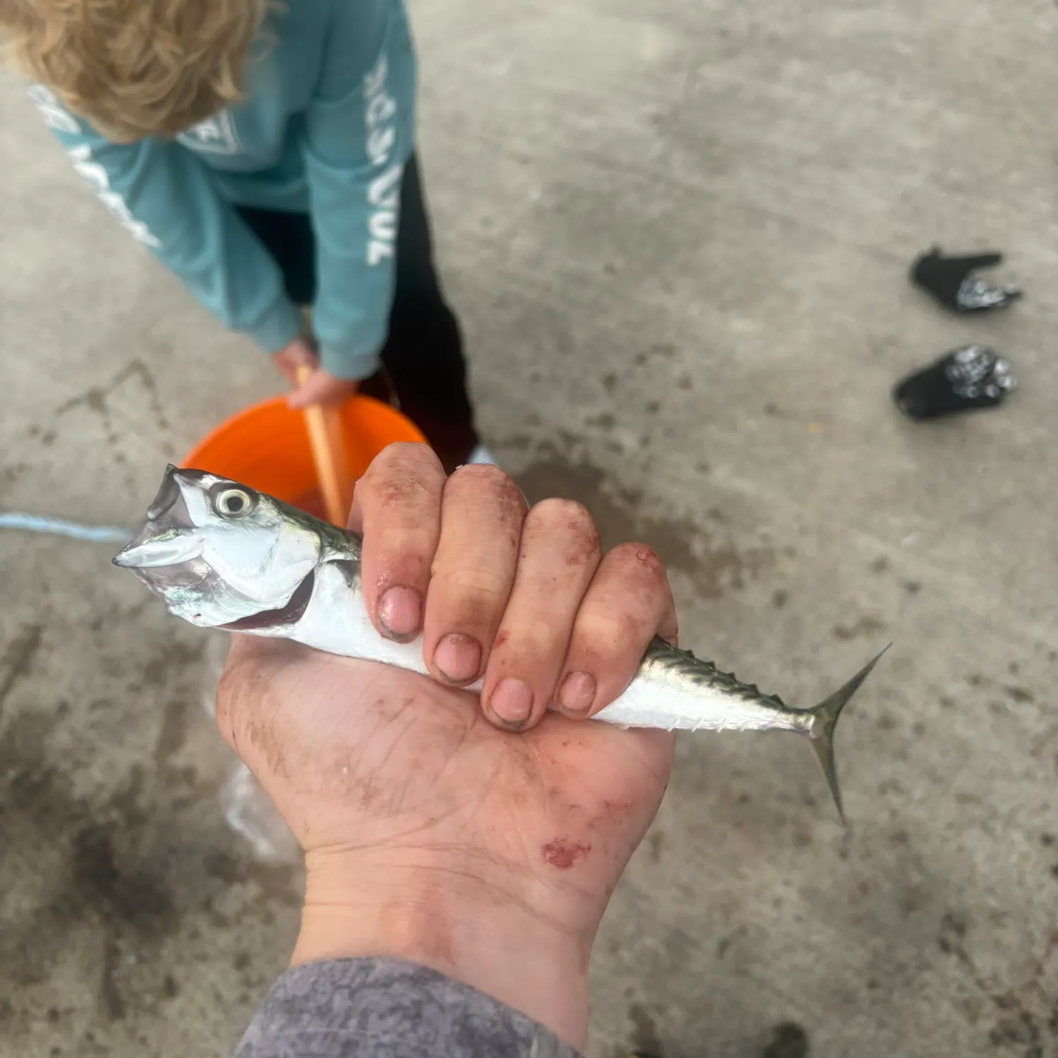 catch