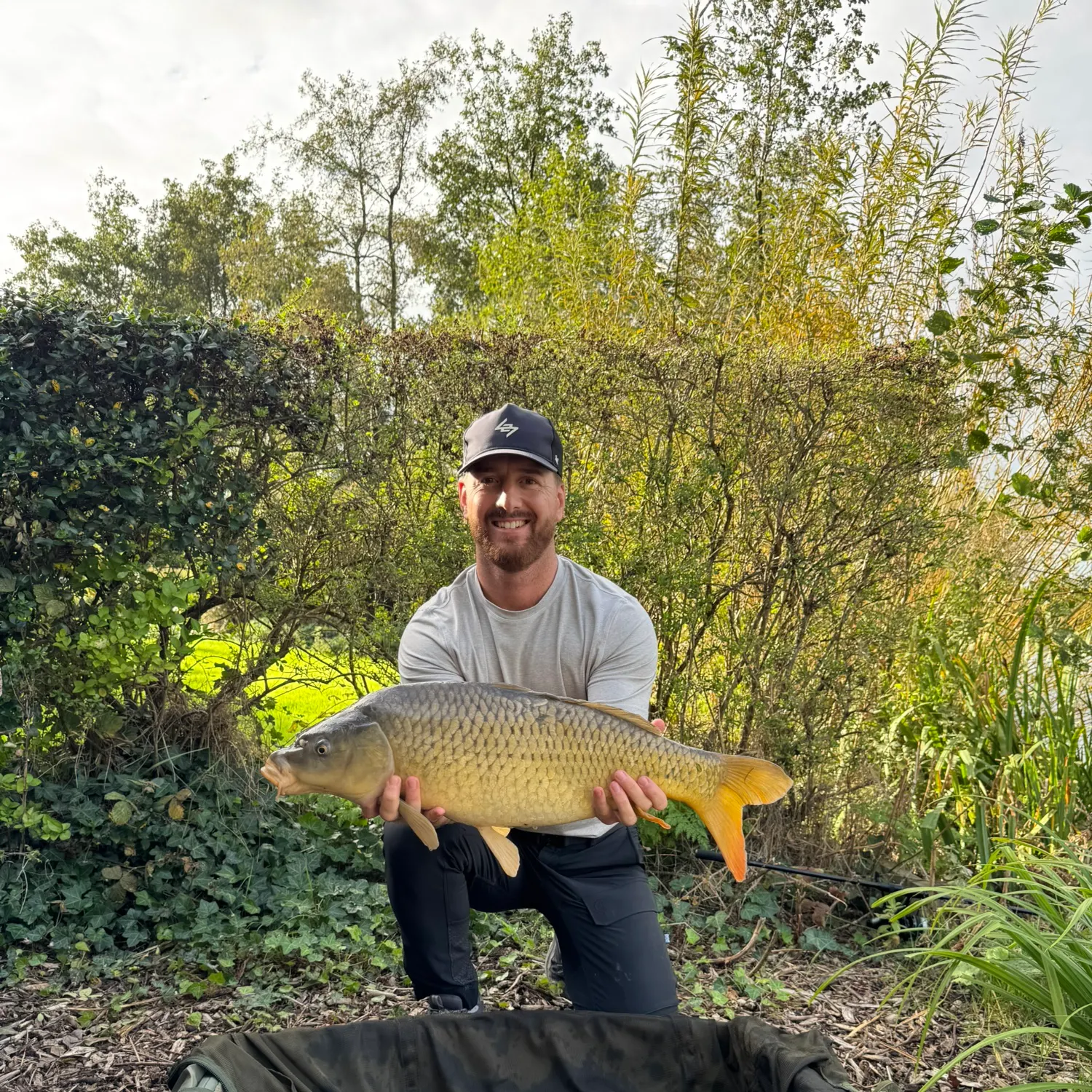 Common carp caught on Fishbrain