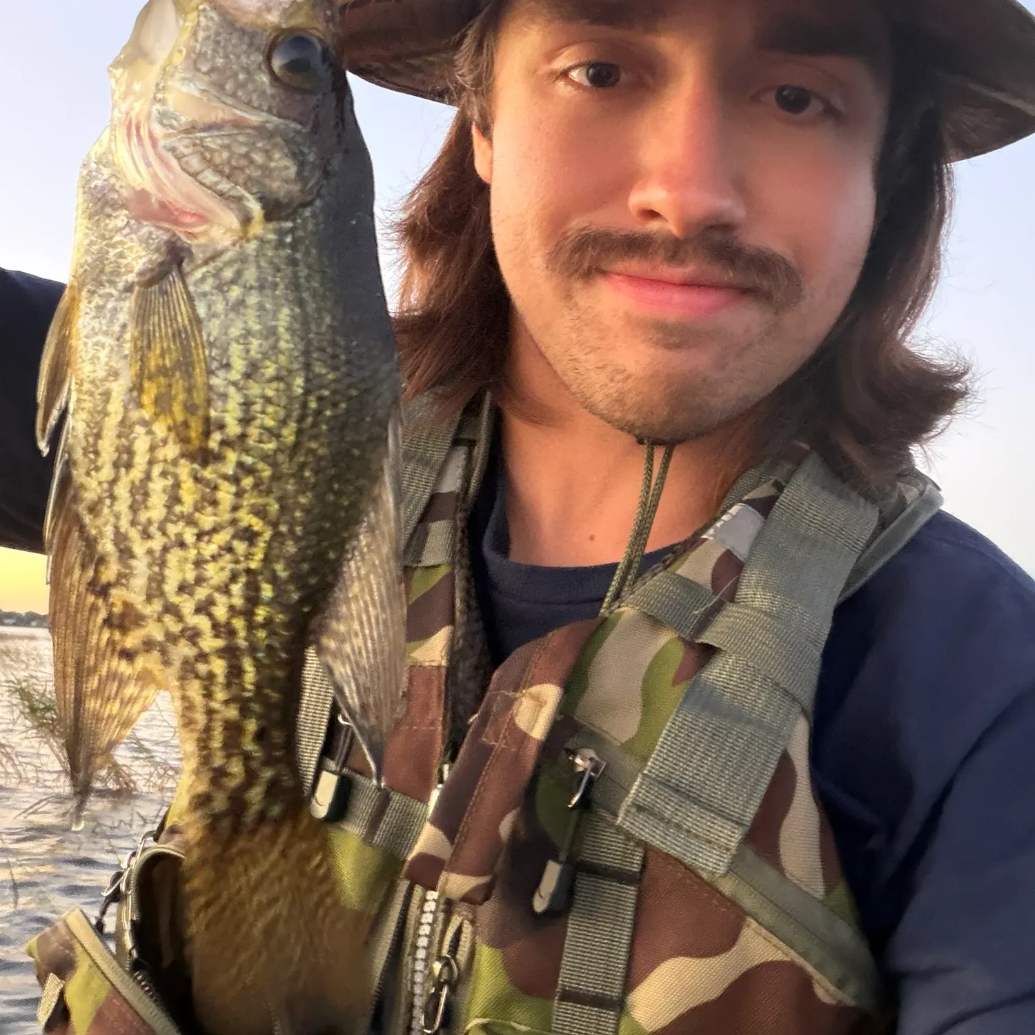 Black crappie caught on Fishbrain