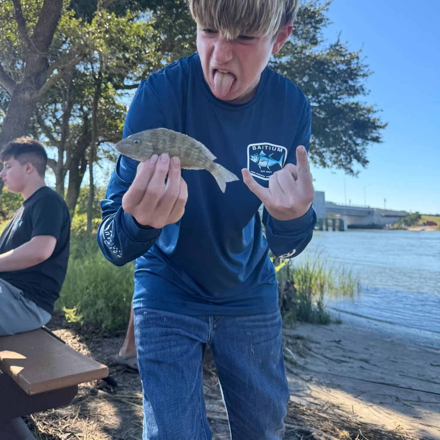 Pigfish caught on Fishbrain