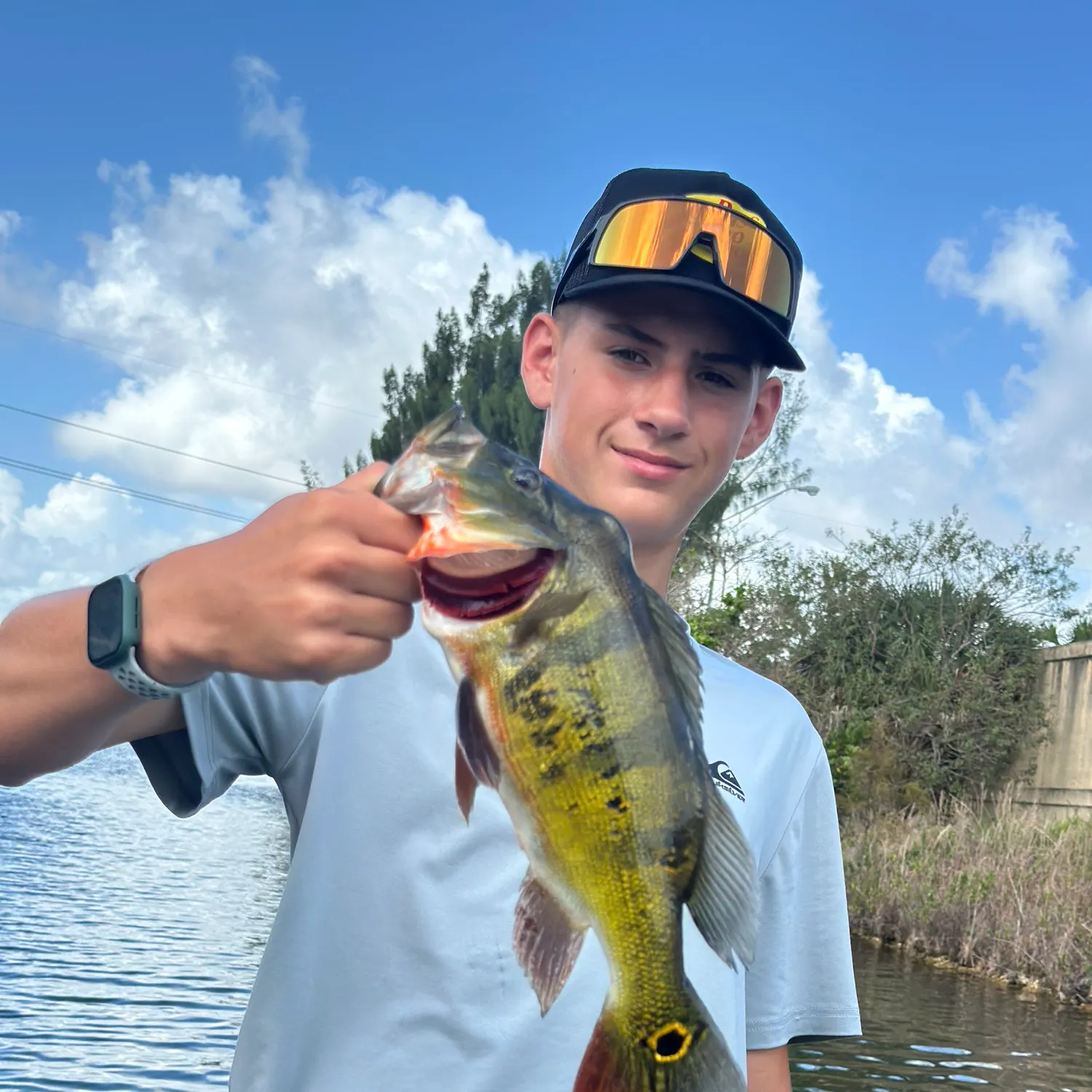 catch