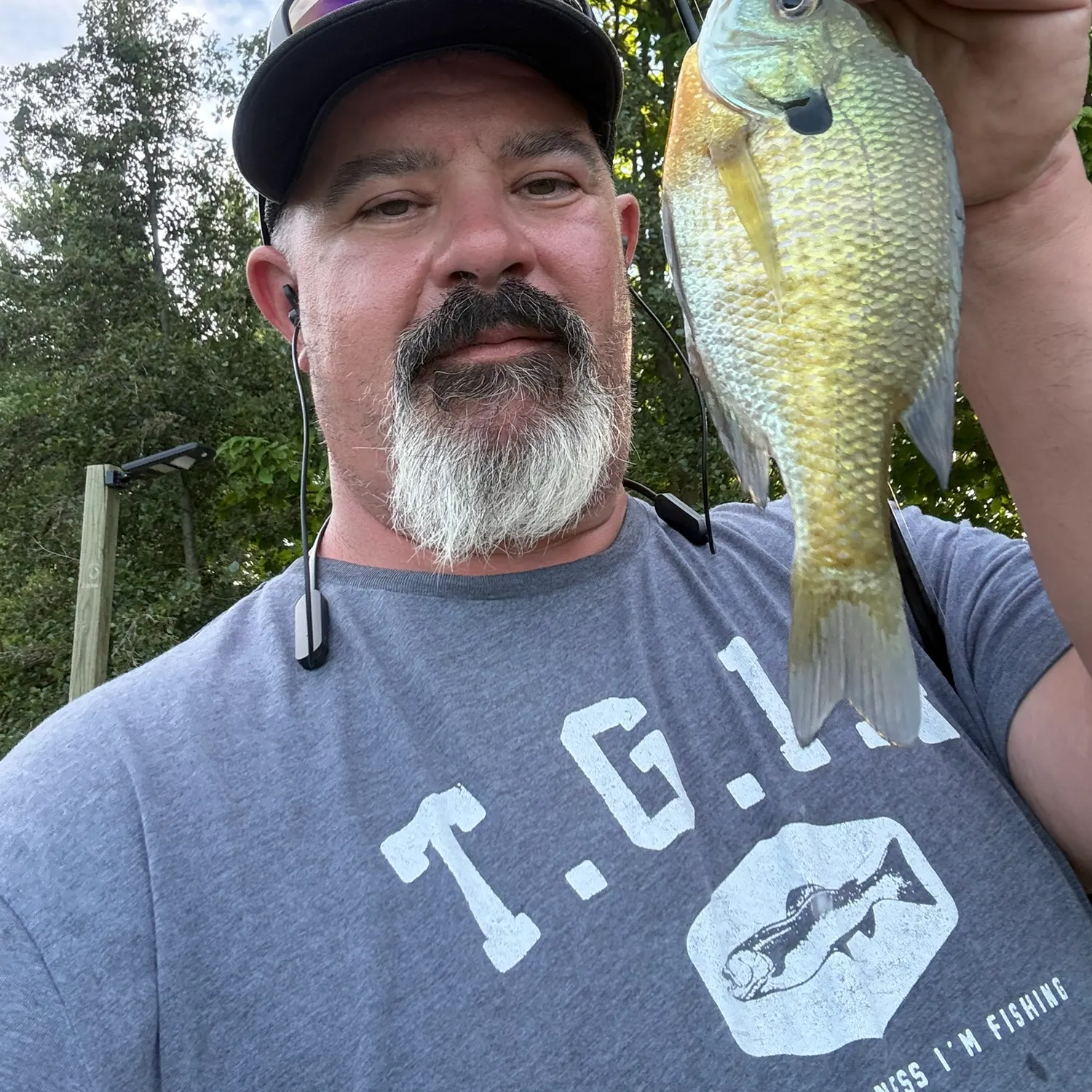 Bluegill caught on Fishbrain