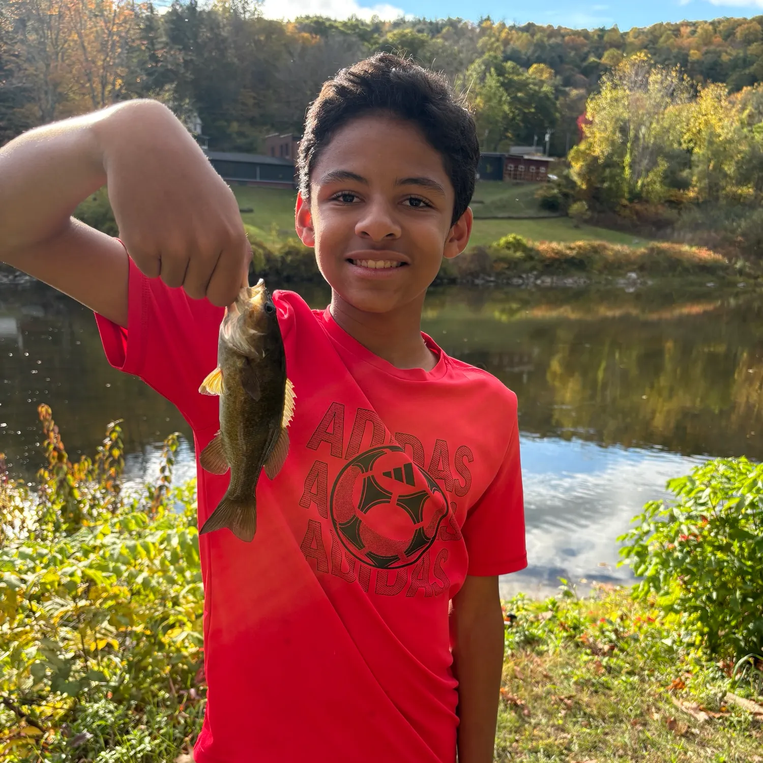 Smallmouth bass caught on Fishbrain