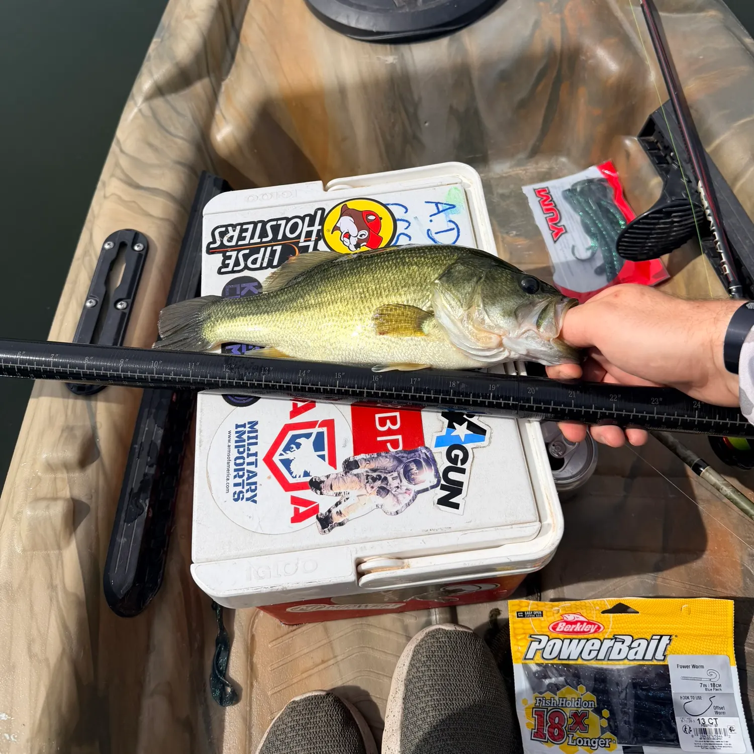 recently logged catches