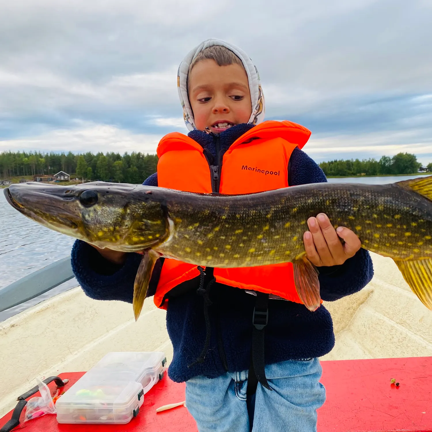 Northern pike caught on Fishbrain