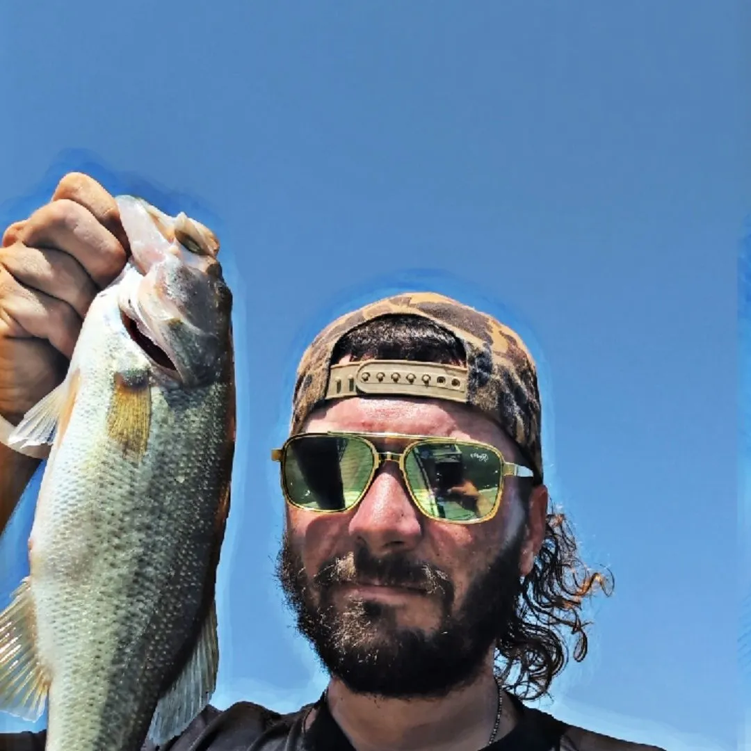 Largemouth bass caught on Fishbrain